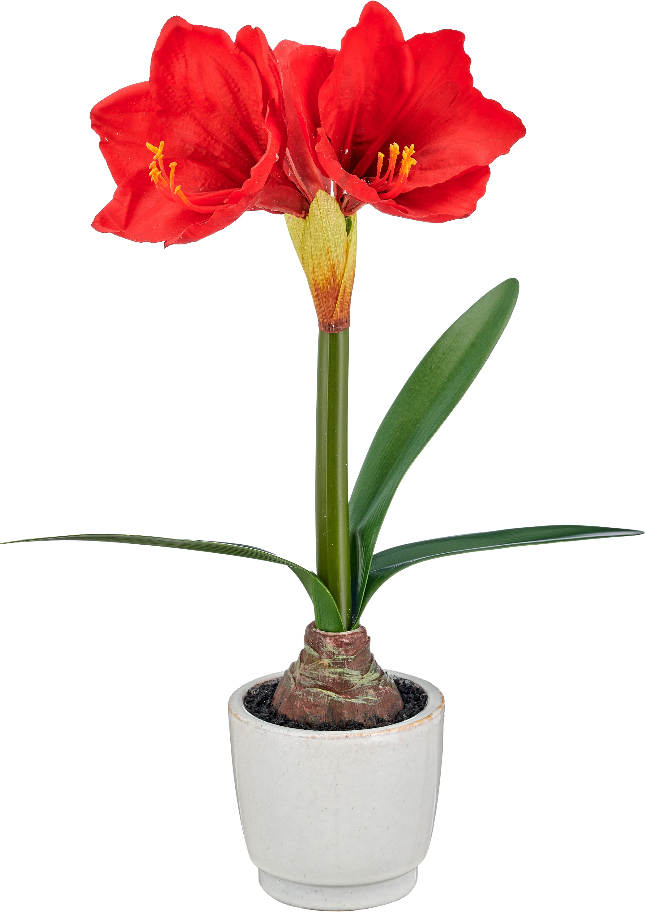 OTTO home Winterliche Kunstpflanze "Amaryllis" mit naturgetreuen Blüten