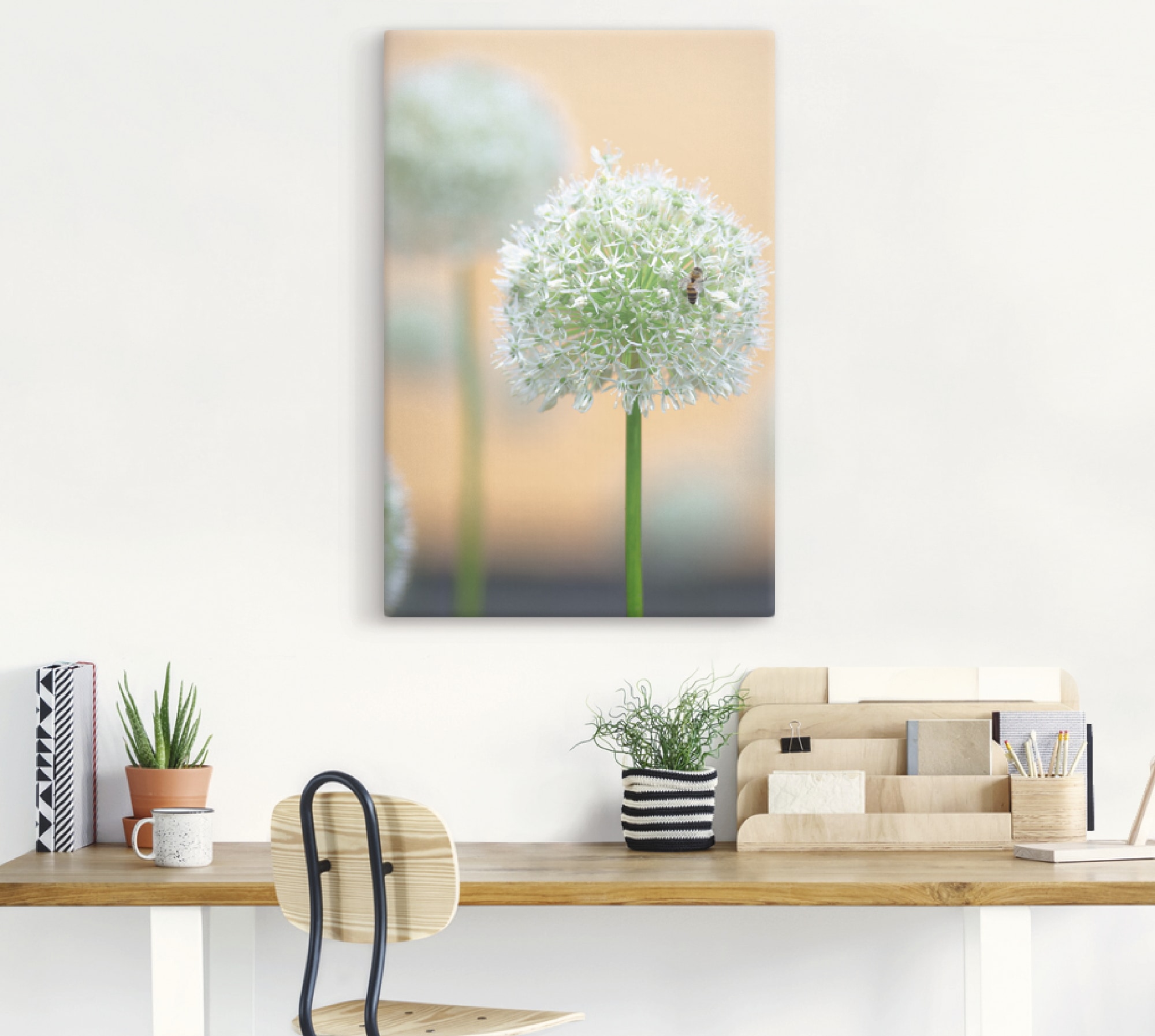 Artland Wandbild »Großer Allium in Pastell«, Blumen, (1 St.), als Leinwandbild, Wandaufkleber in verschied. Größen