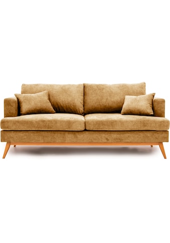 GEPADE 2,5-vietė sofa