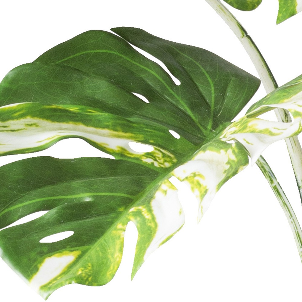 Creativ green Kunstbaum »Monstera deliciosa variegata«, mit grün-weißen Blättern