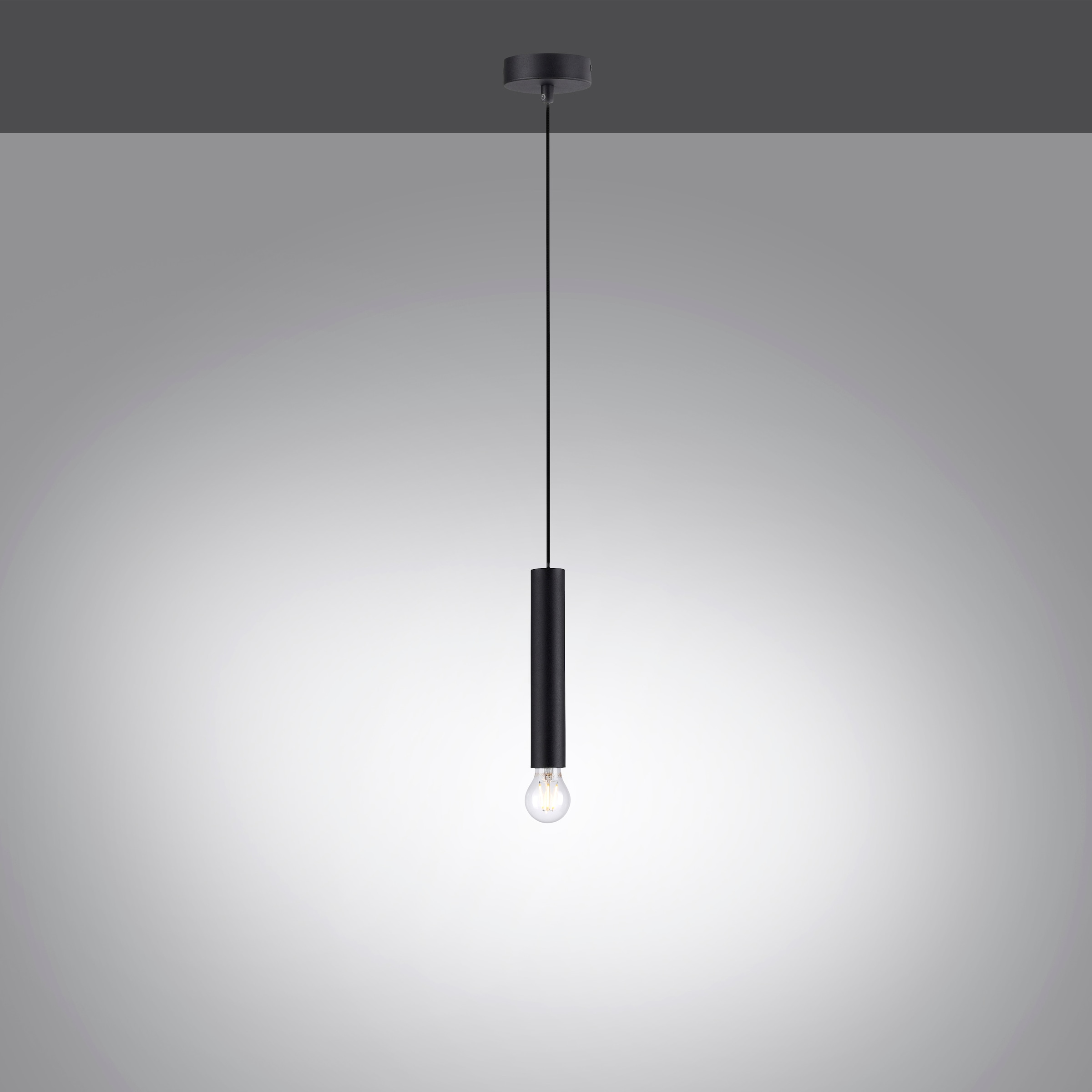 JUST LIGHT Pendelleuchte »BRUNA«, 1 flammig, Leuchtmittel E27 | ohne Leuchtmittel, ExklusiveE27