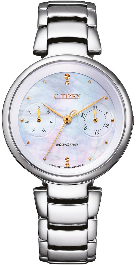 Citizen Solaruhr »FD1106-81D«