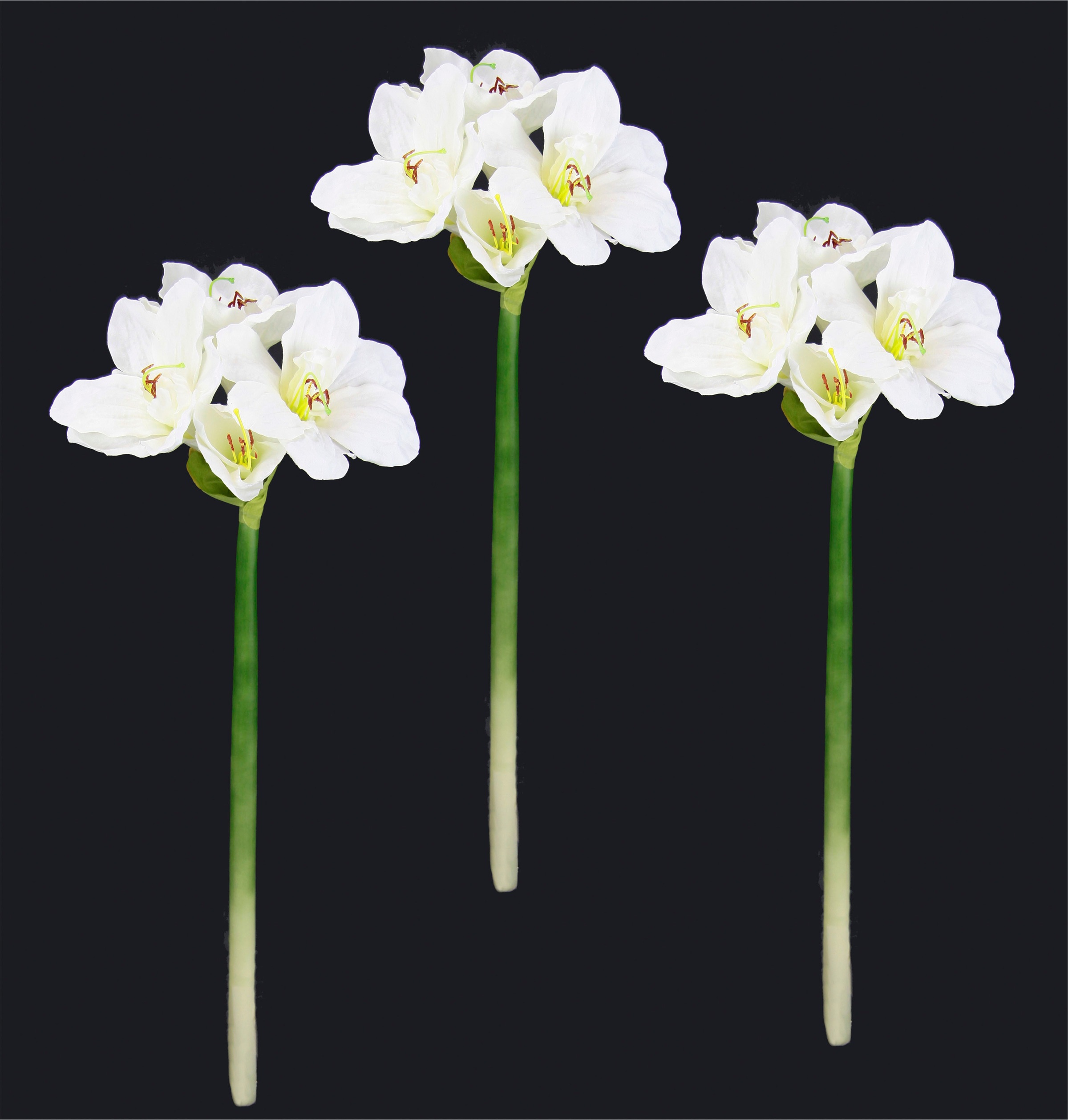 I.GE.A. Kunstblume "Amaryllis", Kunst-Stielblume, 3er Set günstig online kaufen