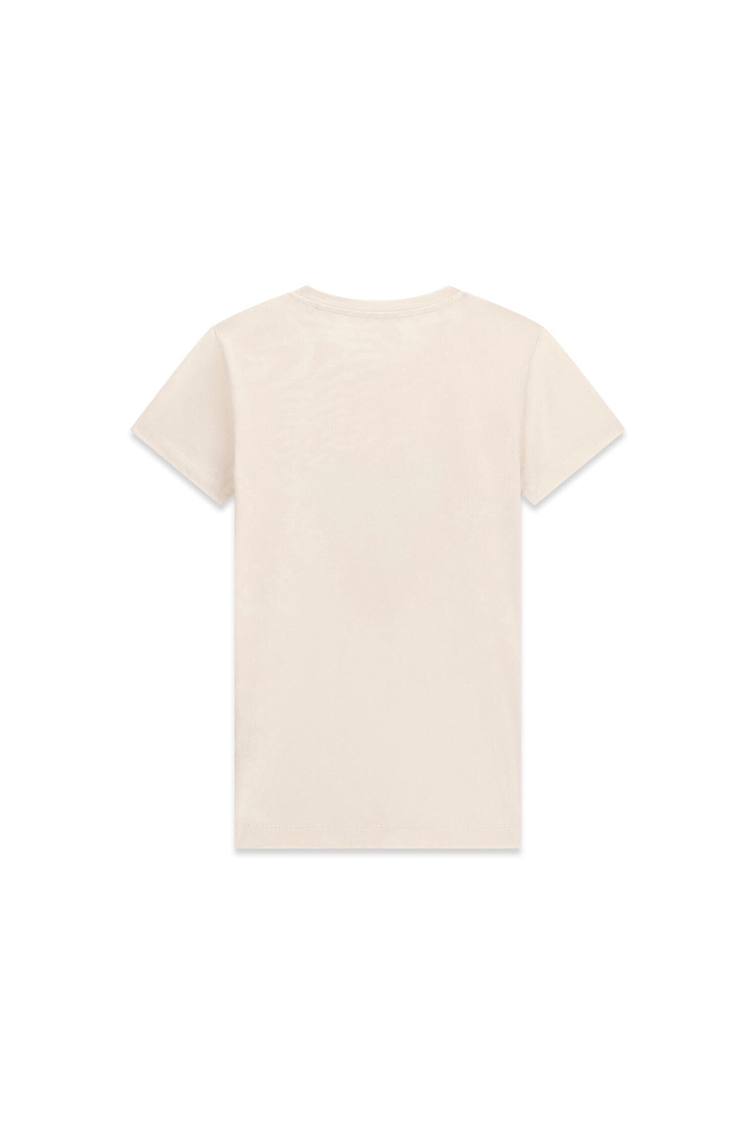 Guess T-Shirt »SS CN COSMOS CANVAS TRIANGLE T« mit Dreieckslogo, Slim Fit