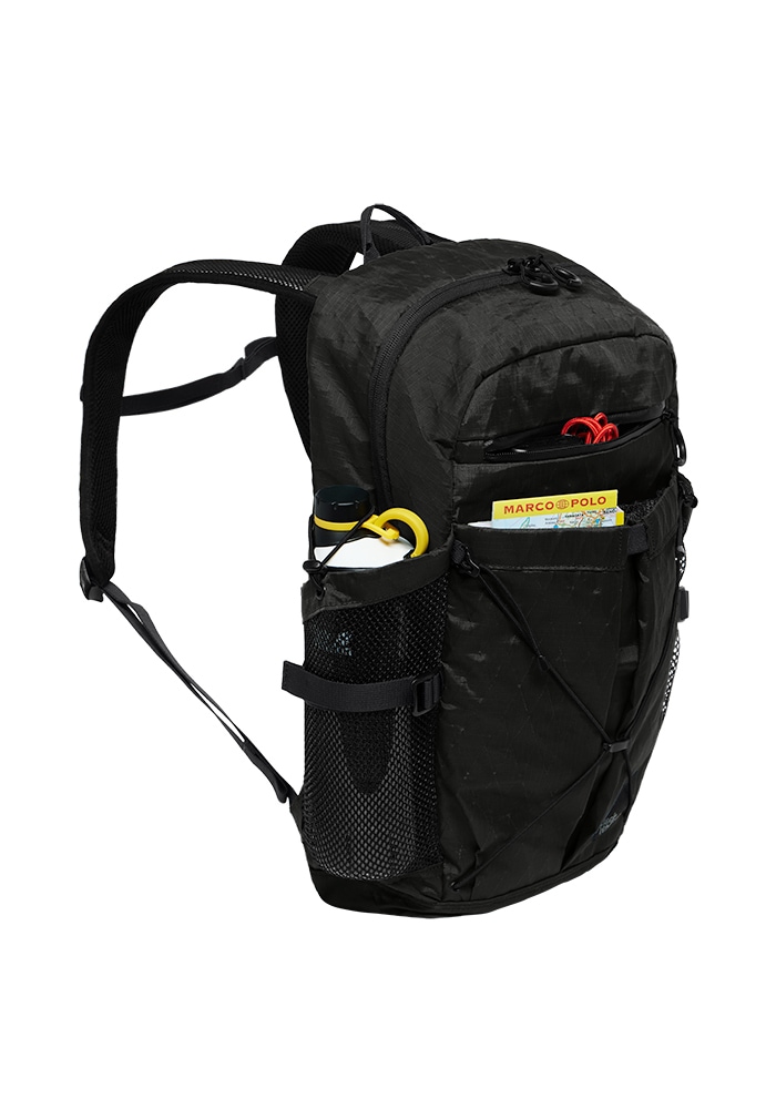 Jack Wolfskin Daypack »WANDERMOOD PACK 20«