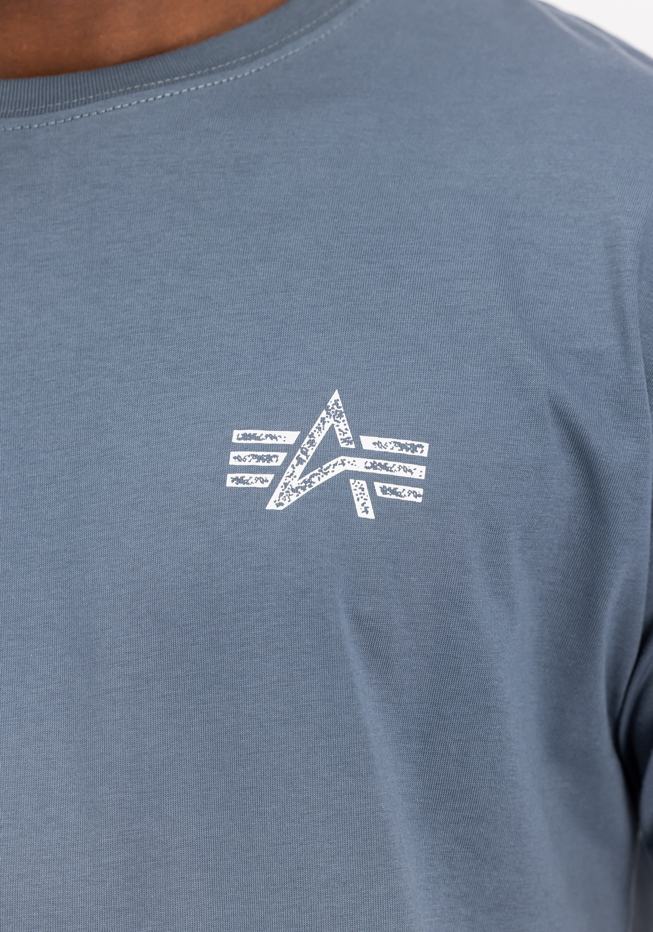 Alpha Industries T-Shirt »Signature Backprint T-Shirt«