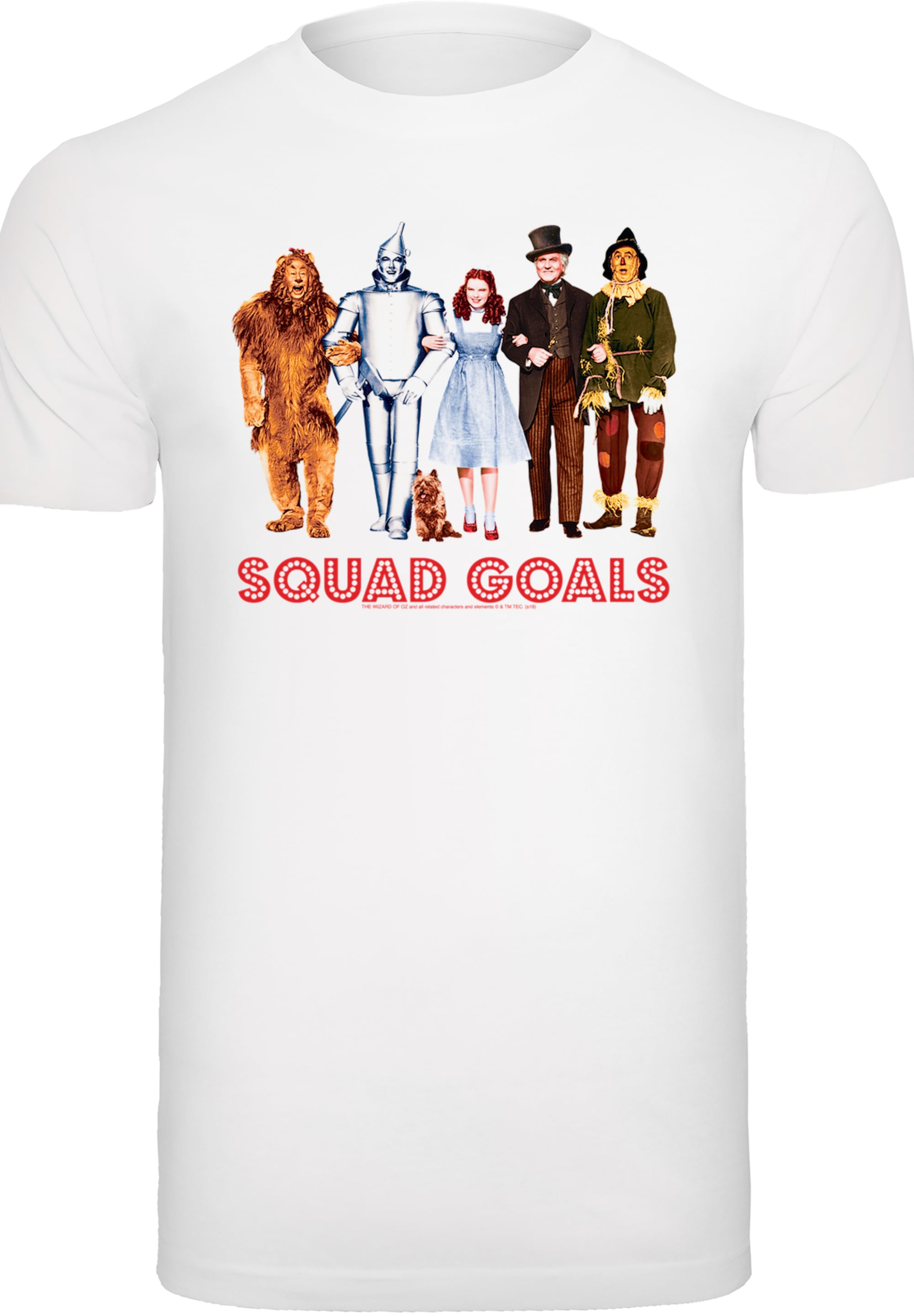 F4NT4STIC T-Shirt »Disney Wizard of Oz Squad Goals«, Herren,Premium Merch,Regular-Fit,Basic,Bedruckt