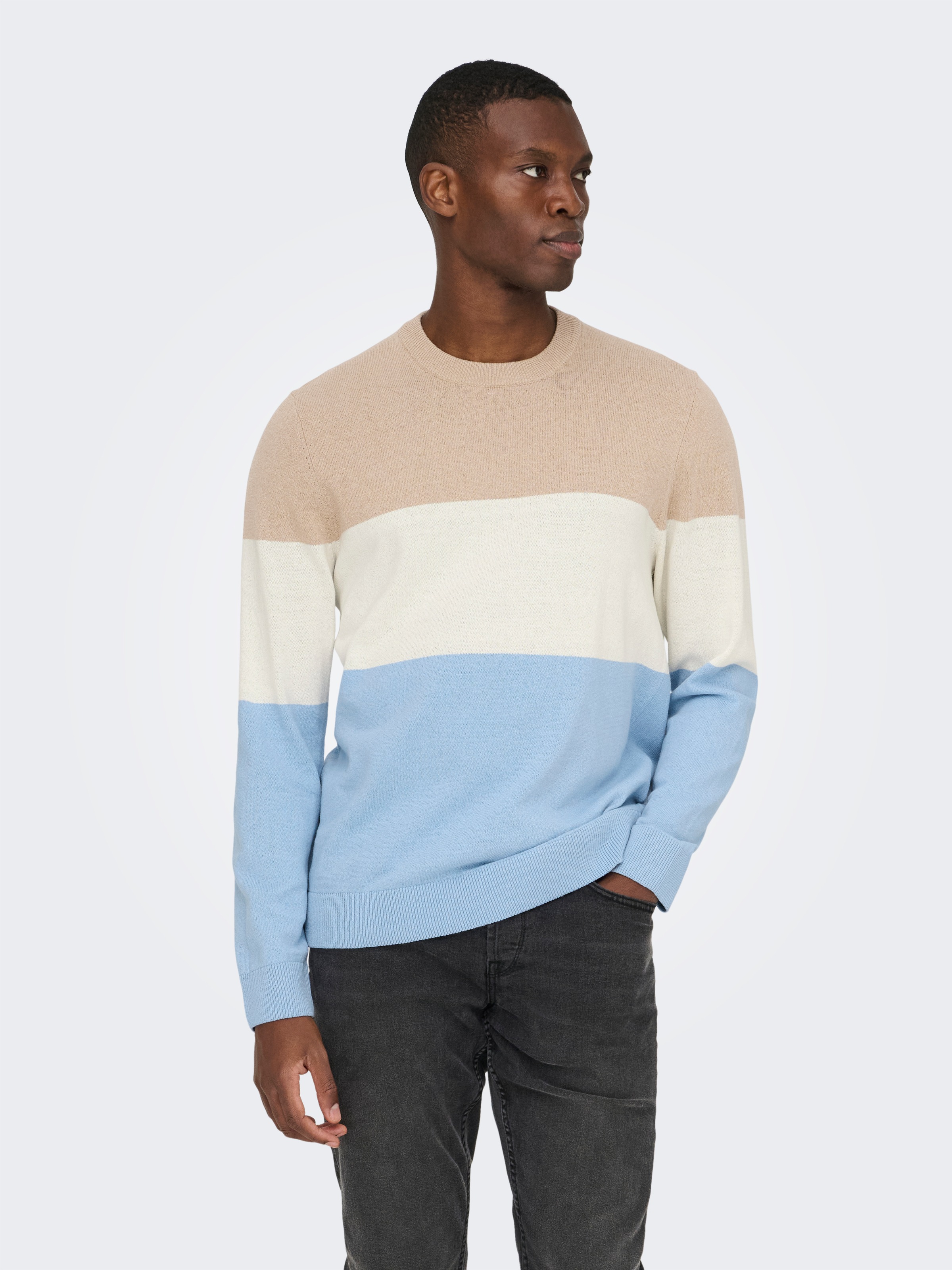 ONLY & SONS Rundhalspullover "ONSREX LIFE REG 12 CREW KNIT" günstig online kaufen