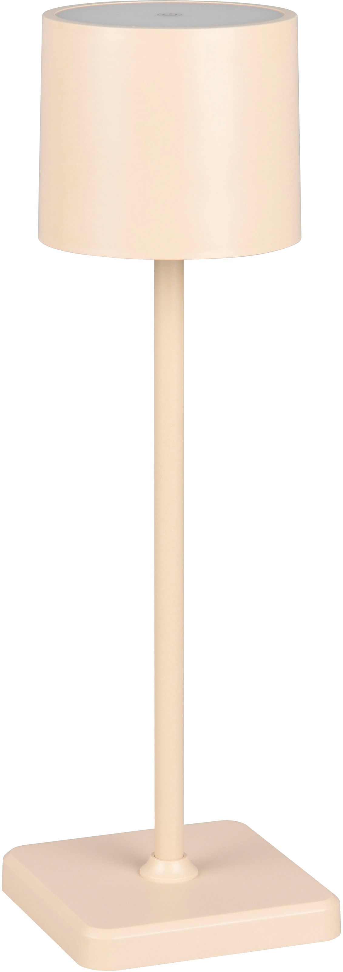 REALITY Leuchten »Fernandez« LED-Board 1 Stk. Farbwechsler | warmweiß - kaltweiß Garten Akku Tischlampe USB Ladestation dimmbar Lichtfarbe einstellbar