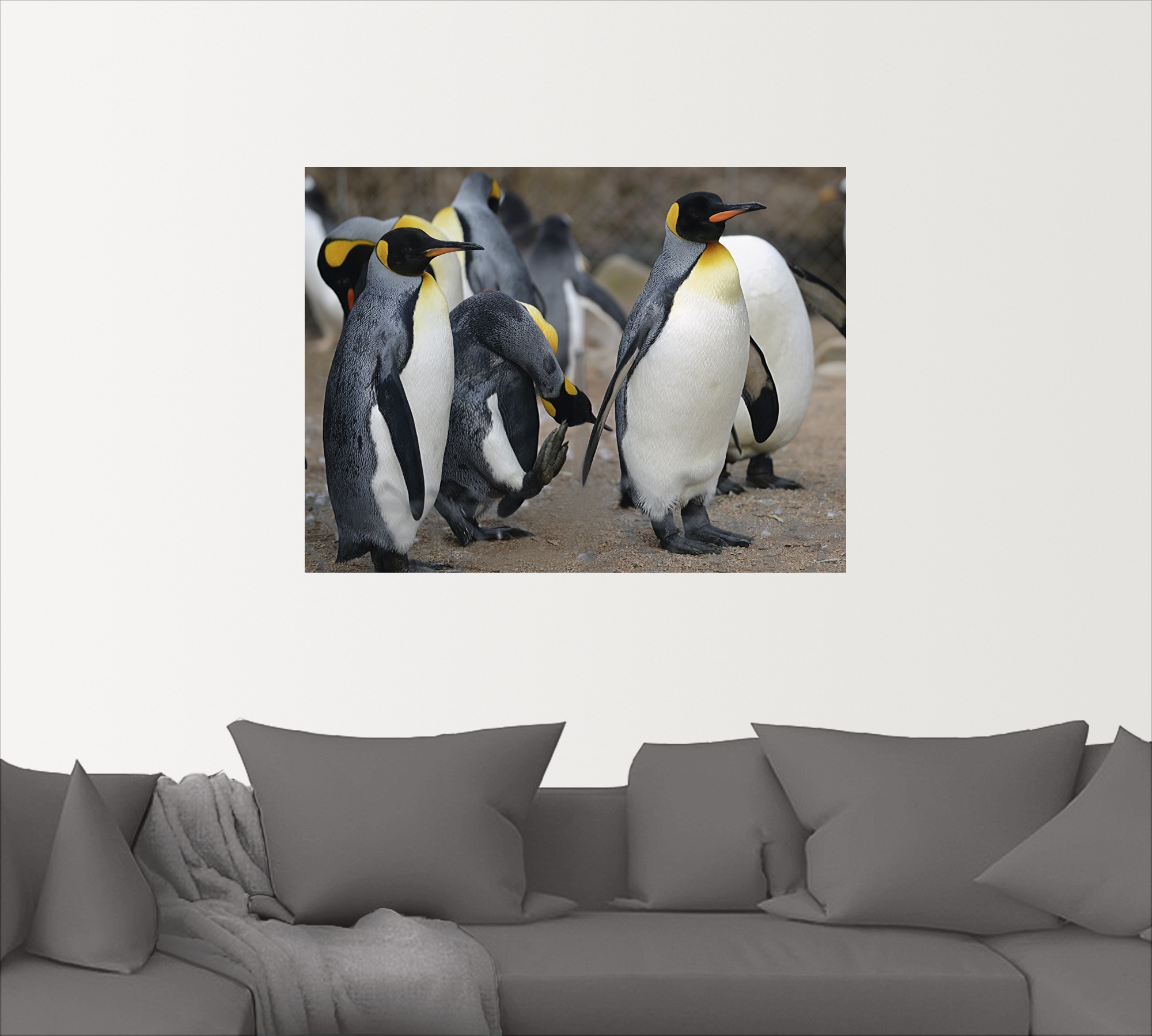 Artland Wandbild »Königspinguin«, Vögel, (1 St.), als Leinwandbild, Wandaufkleber in verschied. Größen