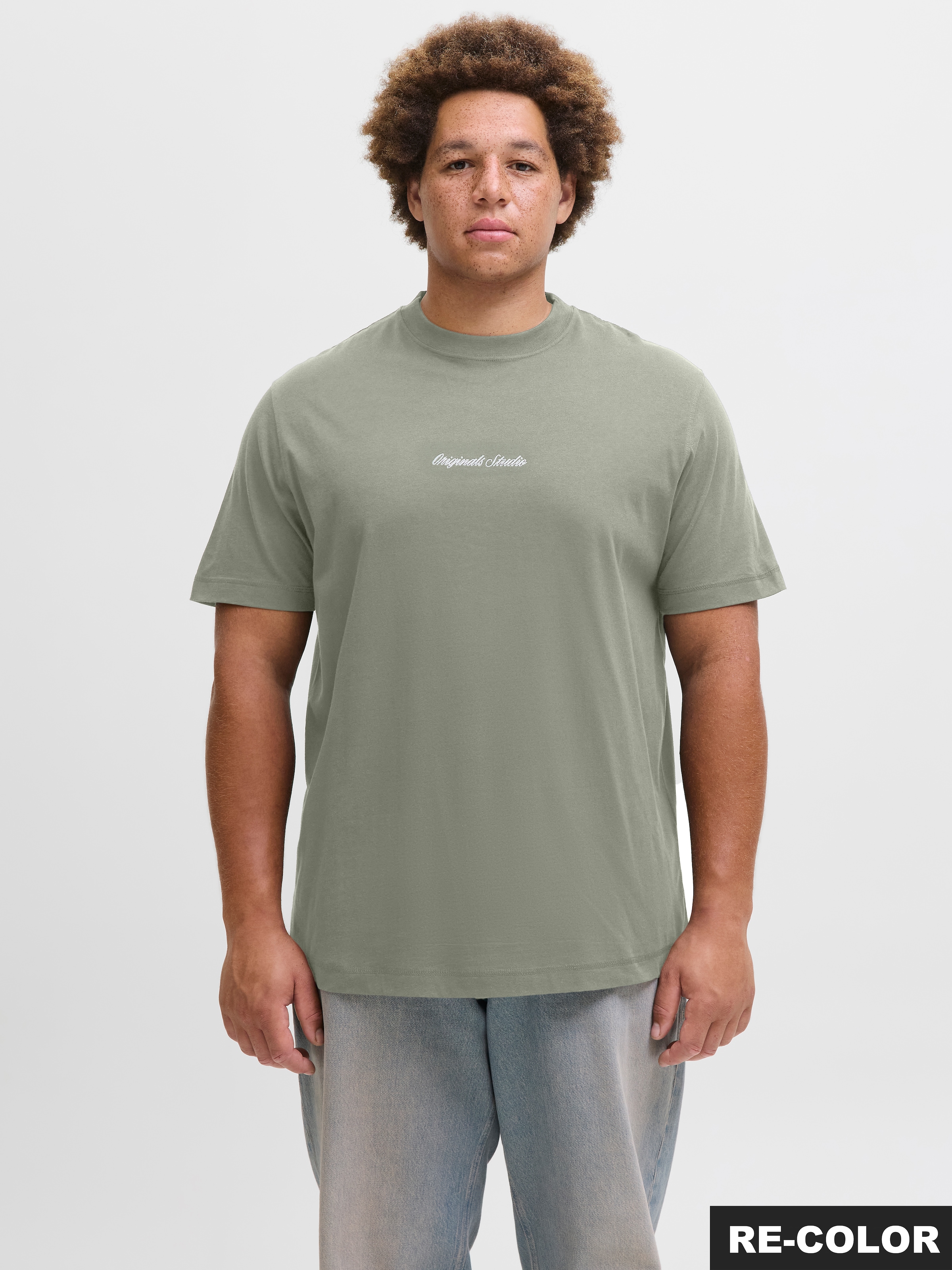 Jack & Jones PlusSize T-Shirt "JORNORREBRO EMB TEE SS CREW NECK PLS"