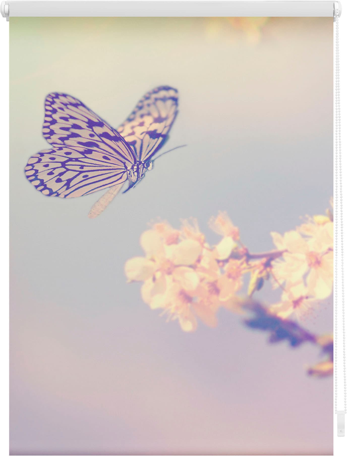 LICHTBLICK ORIGINAL Seitenzugrollo "Klemmfix Motiv Schmetterling", Lichtschutz, ohne Bohren, freihängend, bedruckt