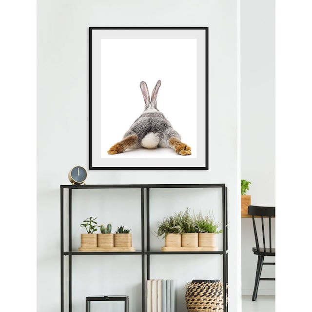 queence Bild »Bunny Tail«, Hase, (1 St.) kaufen | BAUR