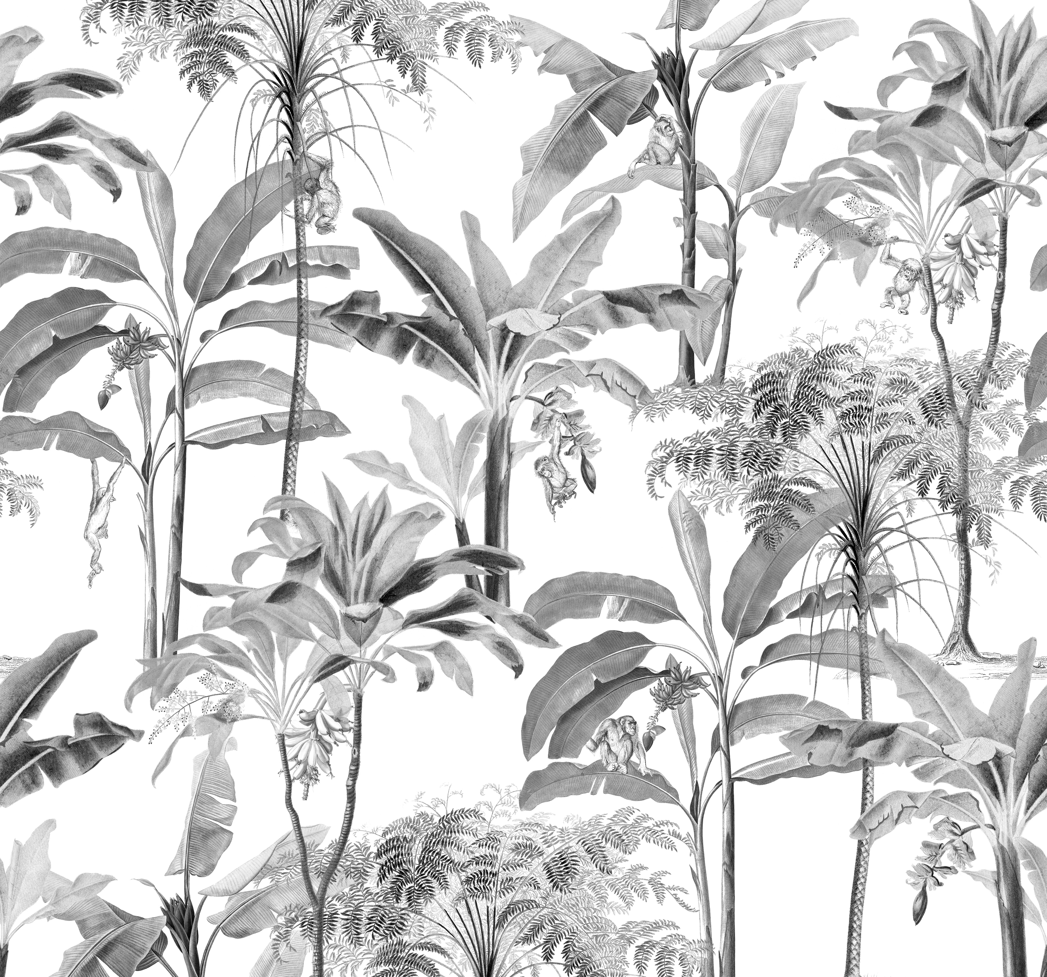 Superfresco Easy Fototapete "Milou" botanisch glatt Grau - 300x280cm