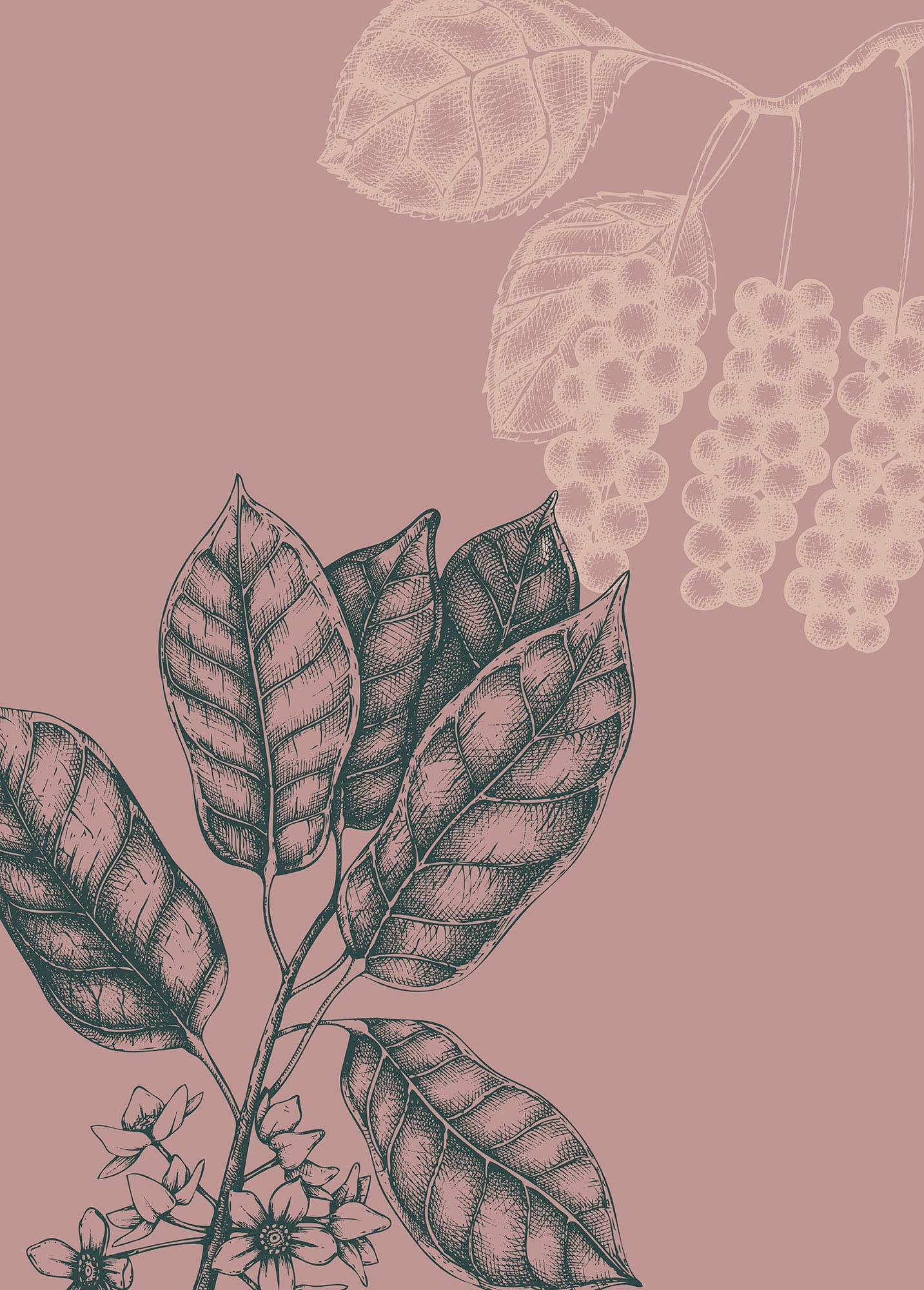Komar "Wild Berry" Natur 1 tlg. Wandbild zur Dekoration - ohne Rahmen günstig online kaufen