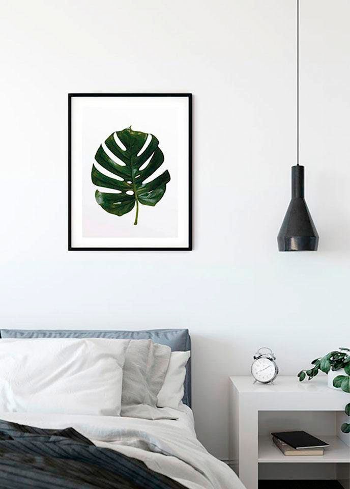 Komar Bild "Monstera Leaf" Blätter Pflanzen 1 Stk. tlg. Wandbild zur Dekoration - ohne Rahmen