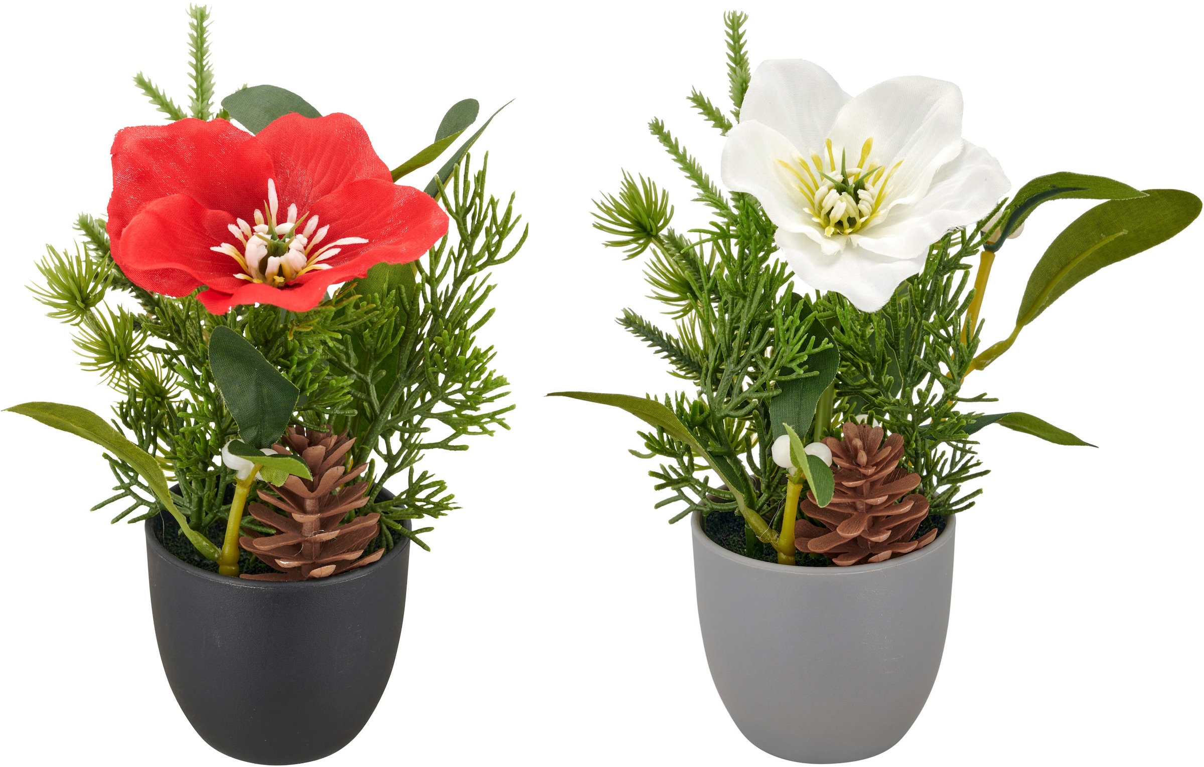 Creativ green Winterliche Kunstpflanze »Arrangement mit Christrose« mit Tannenzweigen und Zapfen