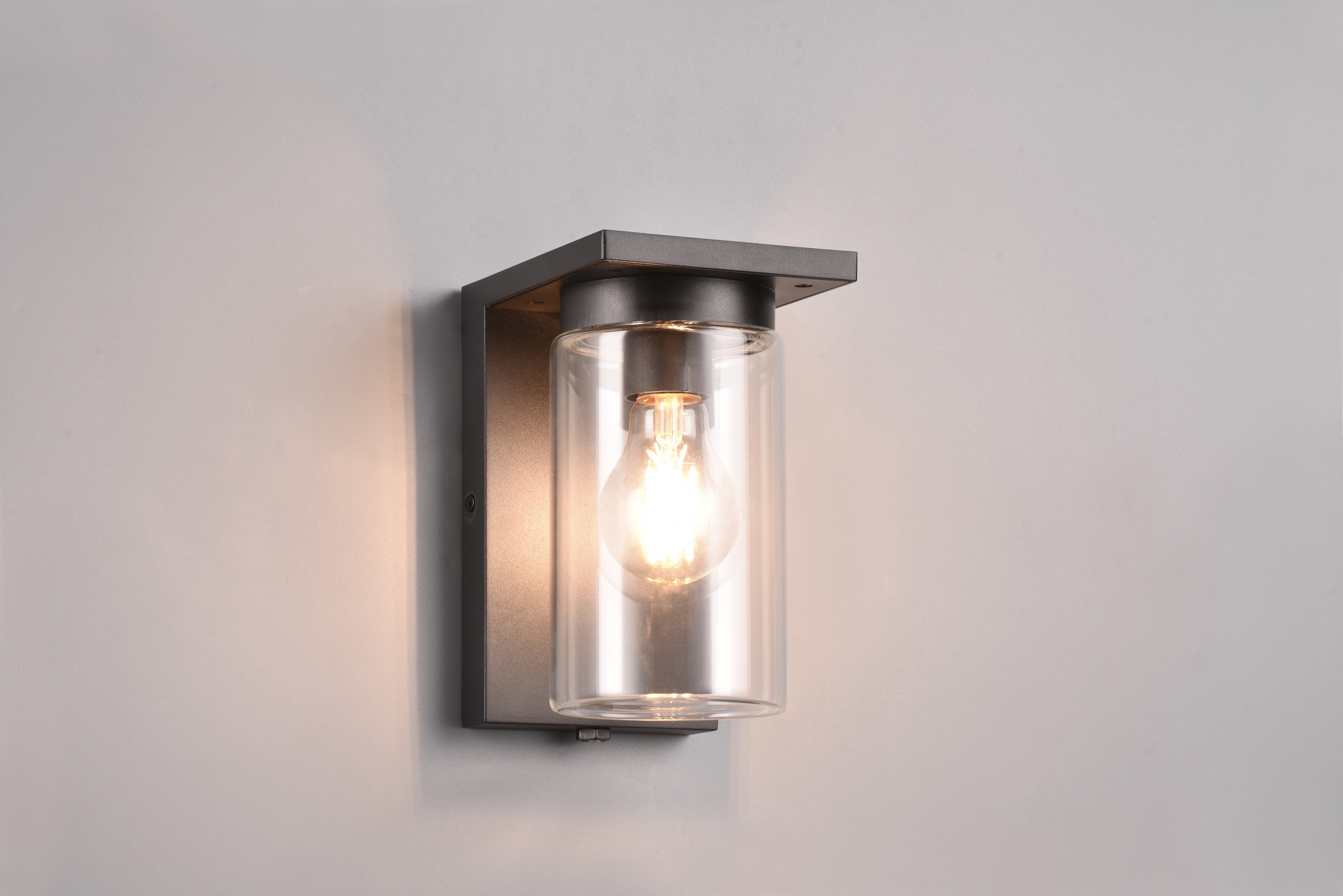 TRIO Leuchten Außen-Wandleuchte »ARDILA, Outdoor Fassadenleuchte mit Glasschirm, Dämmerungssensor«, 1 flammig, Leuchtmittel E27 | Leuchtmittel wechselbar, exkl 1x E27 max 40W, IP44, Wandlampe für Hauswand Garten Terrasse