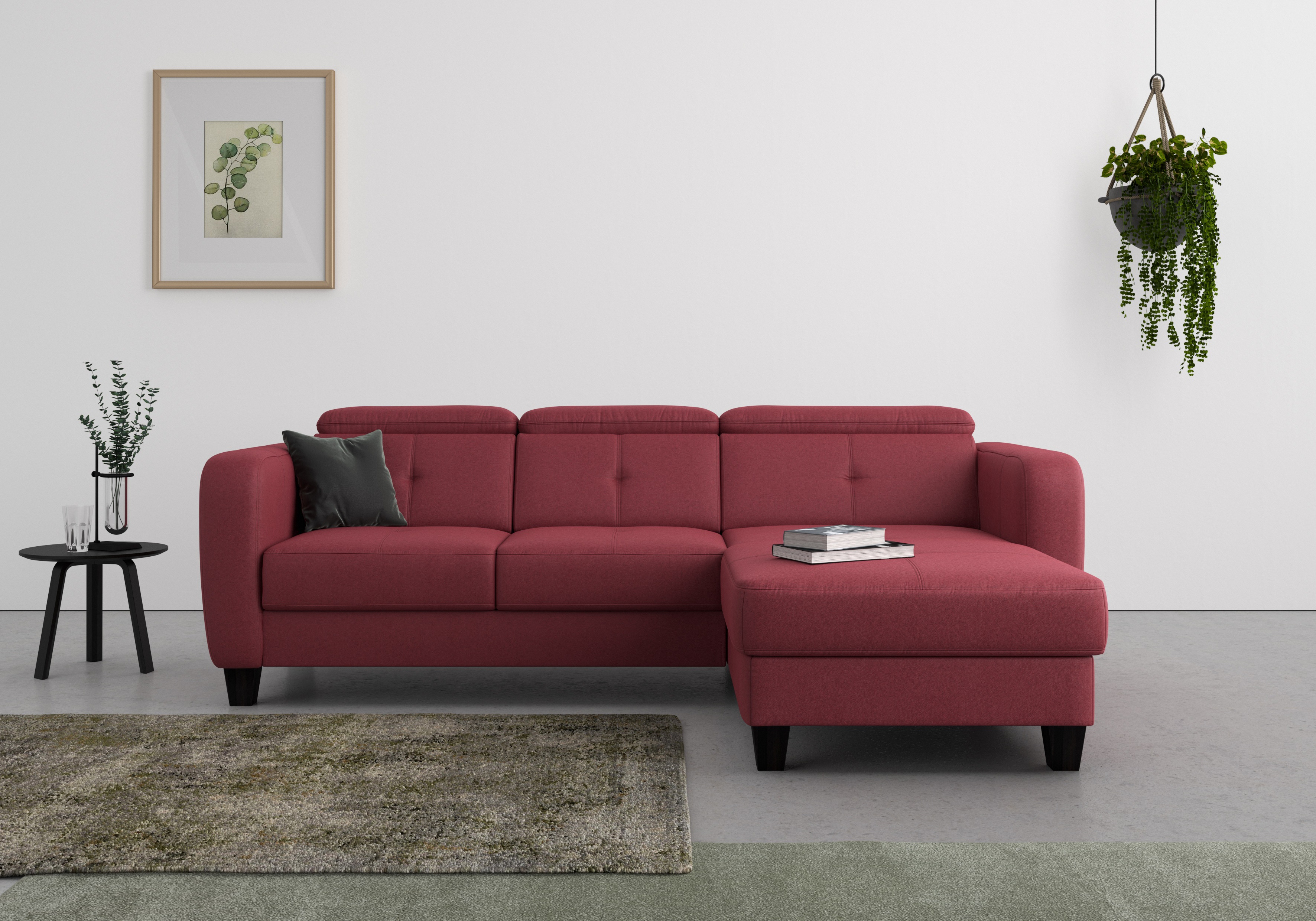 sit&more Ecksofa "Belluci L-Form" inklusive Federkern, wahlweise mit Schlaffunktion und Bettkasten