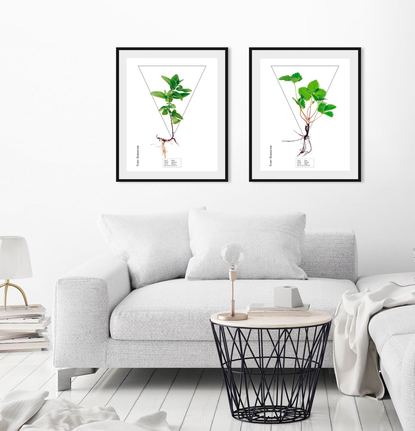 queence Bild "Mentha" Pflanzen Pflanzenbilder Schriftzug 1 Stk. tlg. HD Premium Poster-Druck inkl. Holzrahmen