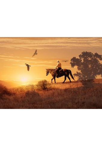 Papermoon Fototapetas »Cowboy«