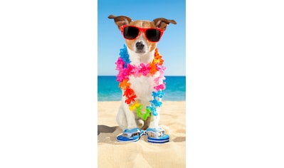 good morning Strandtuch »Buddy«, (1 St.), mit Hund & Sonnenbrille kaufen
