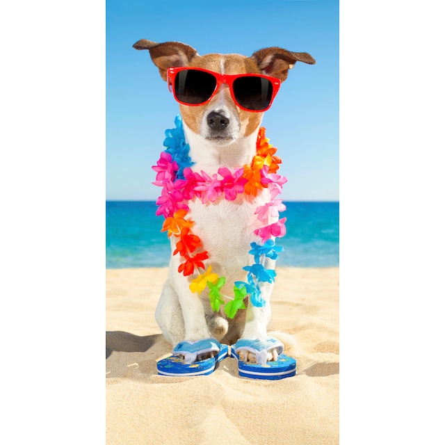 good morning Strandtuch »Buddy«, (1 St.), mit Hund & Sonnenbrille auf  Rechnung | BAUR