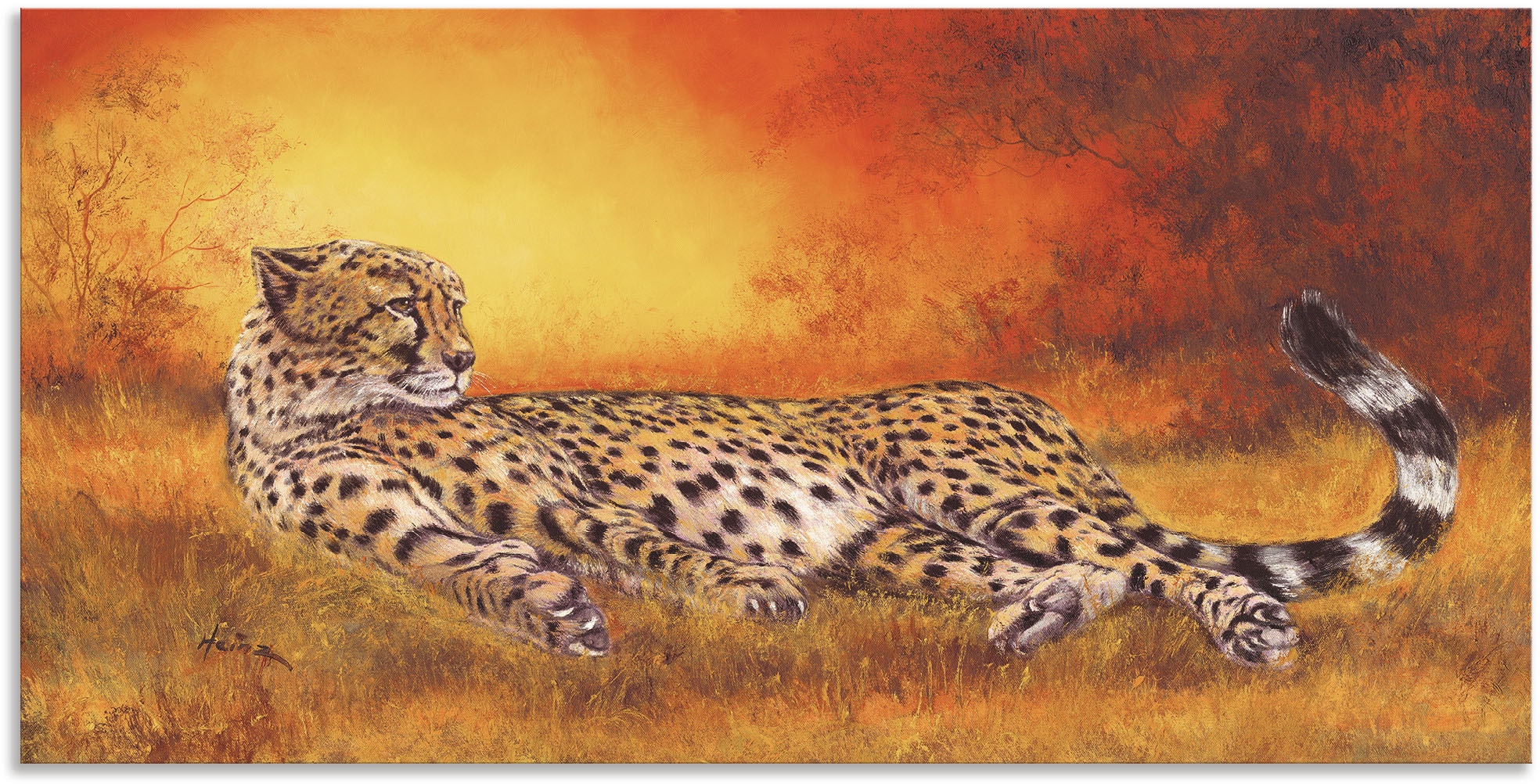 Artland Wandbild "Gepard" Geparden Bilder 1 Stk. tlg. als Alubild, Outdoorb günstig online kaufen