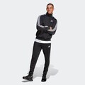 adidas Sportswear Trainingsanzug »BASIC 3-STREIFEN TRICOT«, (2 tlg.)
