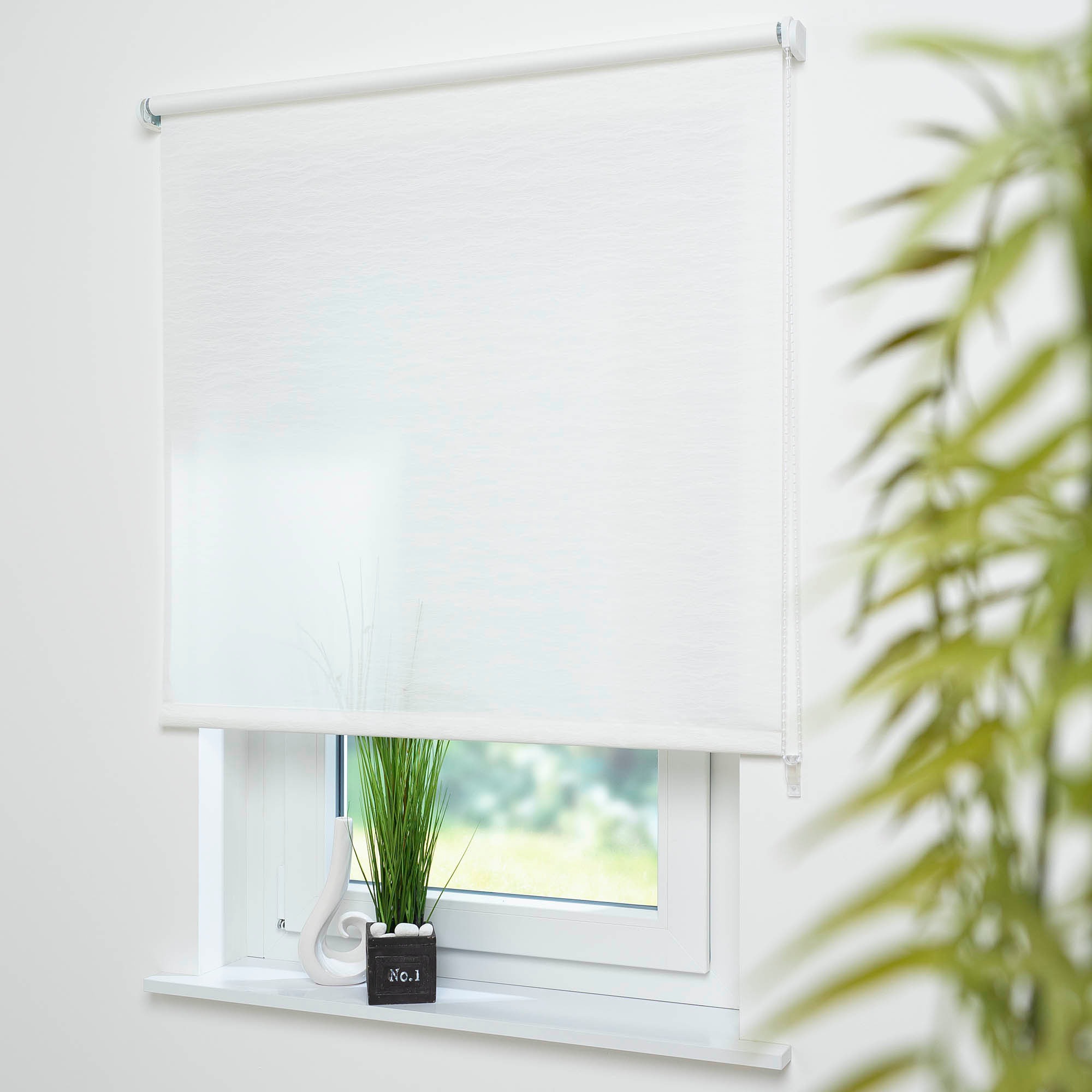 Liedeco Seitenzugrollo "Dekor Faden" Lichtschutz ohne Bohren günstig online kaufen