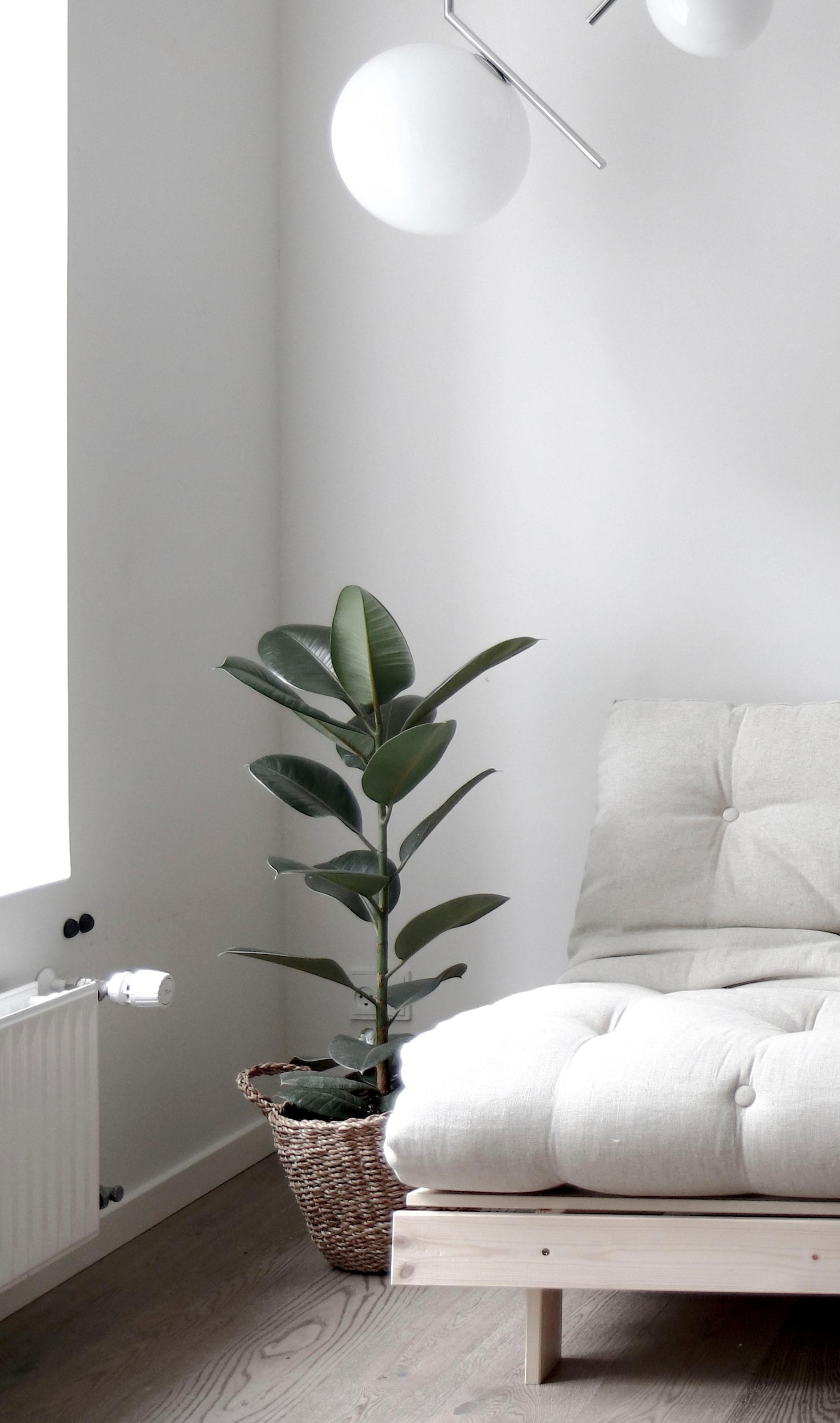 Karup Design Daybett »Daybett Roots Schlafsofa – Gästebett & Sofa aus FSC®-Kiefer«, Inkl. Futonmatratze, in mehreren Größen & Farben erhältlich