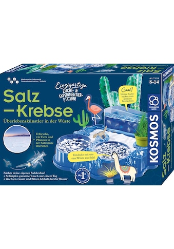 Kosmos Experimentierkasten »Salzkrebse«, Made in Germany kaufen