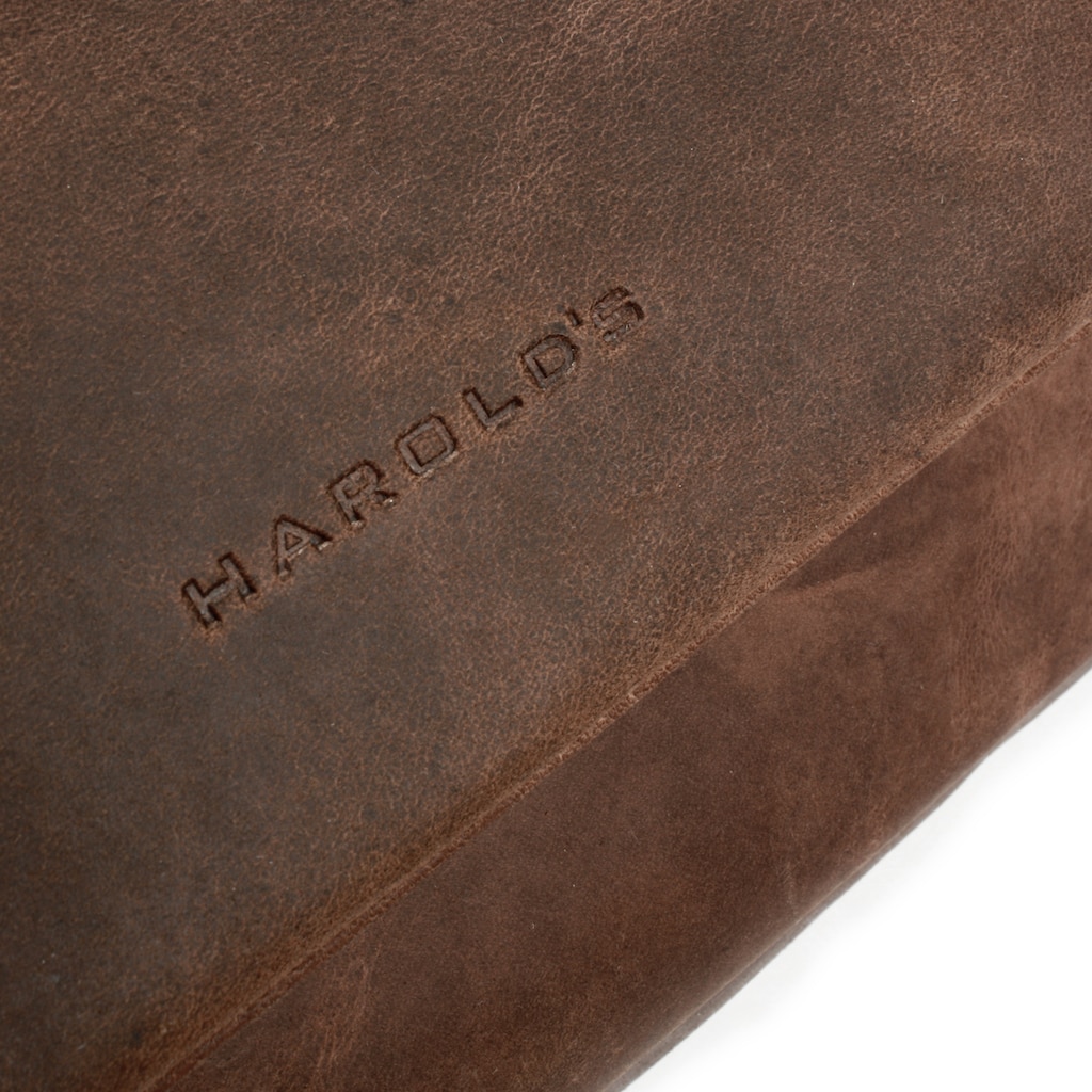 Harold's Messenger Bag »ANTIC«