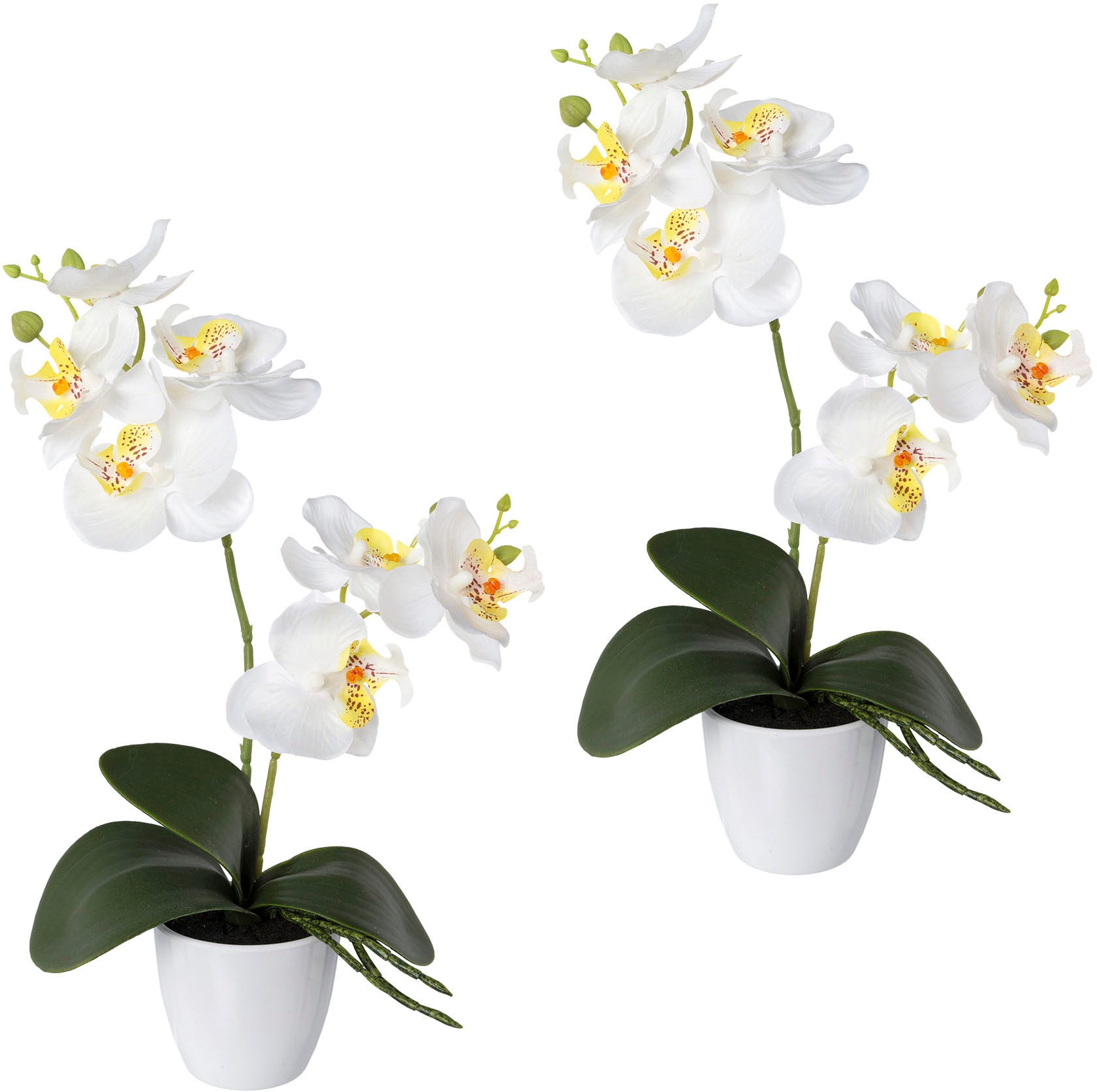 Kunstorchidee »Phalaenopsis«, 2er Set, im Kunststofftopf