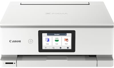 Multifunktionsdrucker »PIXMA TS8751«