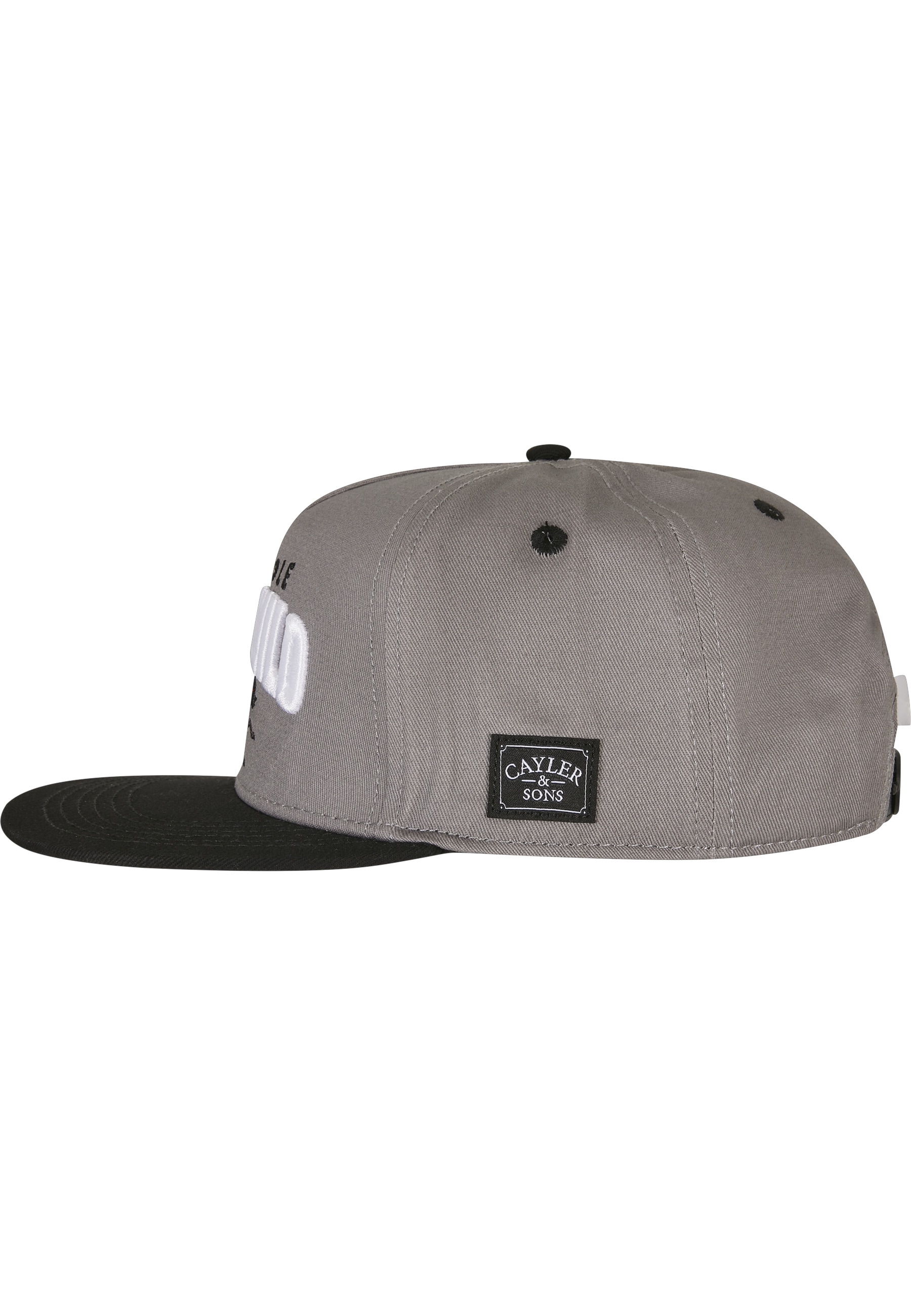 CAYLER & SONS Flex Cap »Cayler & Sons Herren Crew Wild Cap«