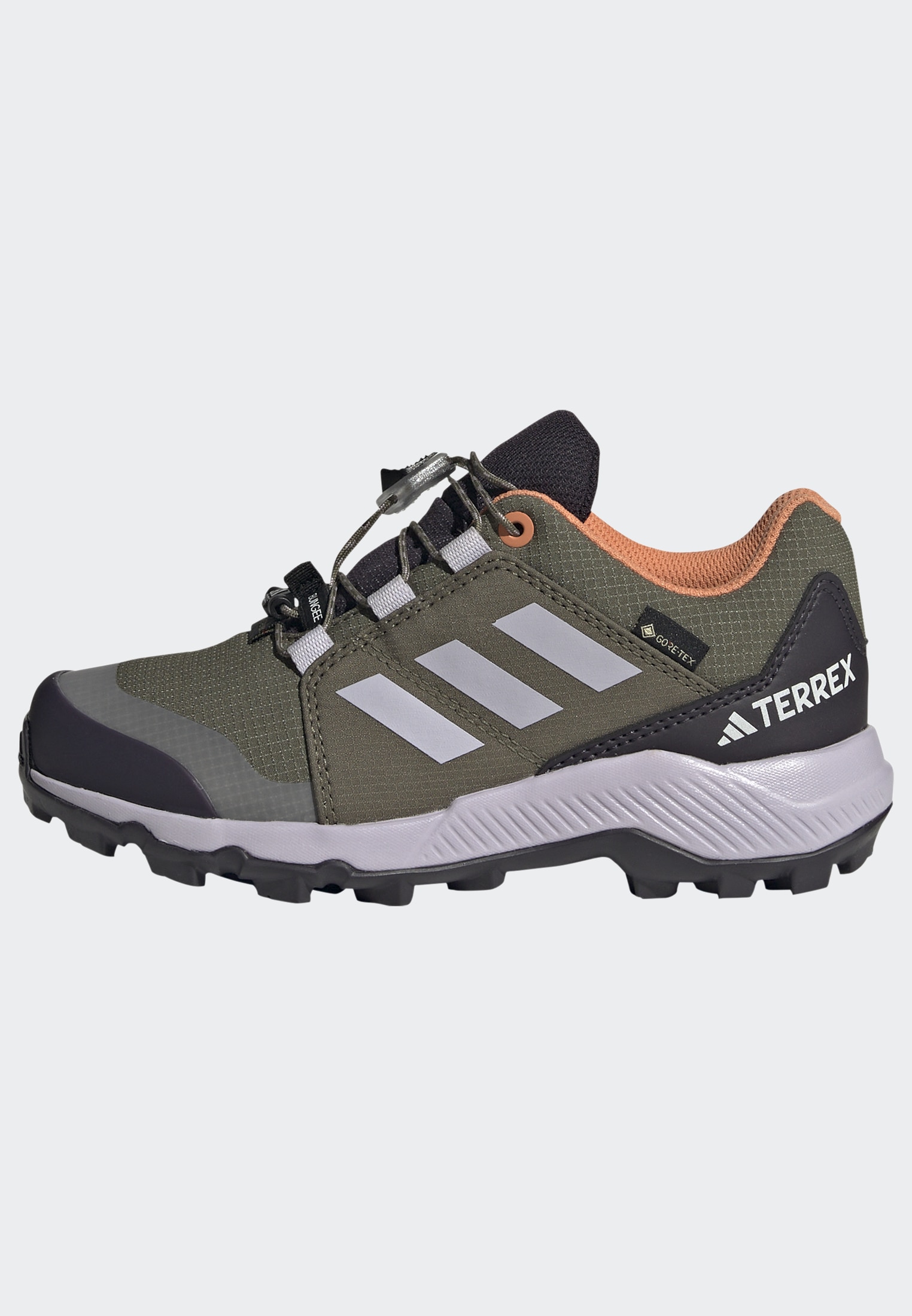 adidas TERREX Wanderschuh »TERREX GORE-TEX«, wasserdicht