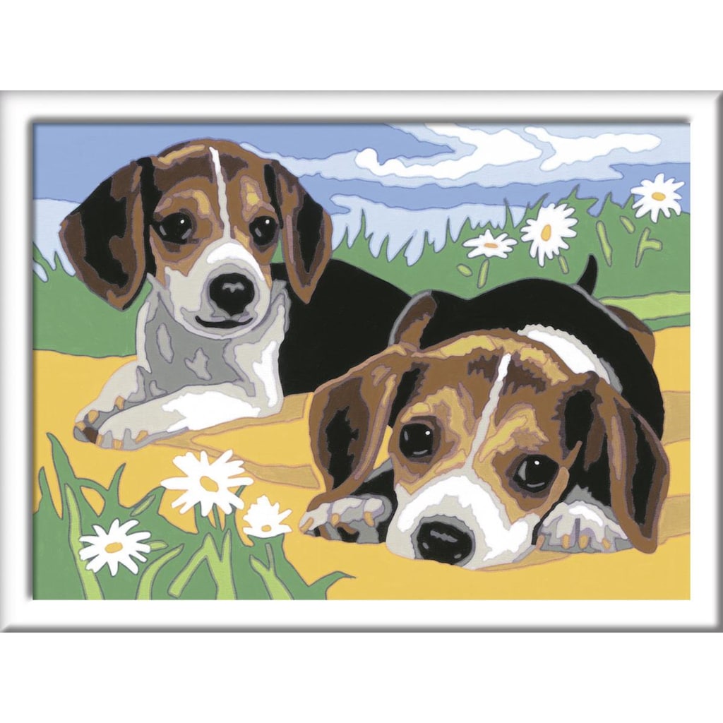 Ravensburger Malen nach Zahlen »Jack Russel Welpen«