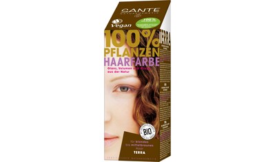 SANTE Haarfarbe »Pflanzenhaarfarbe terra« kaufen