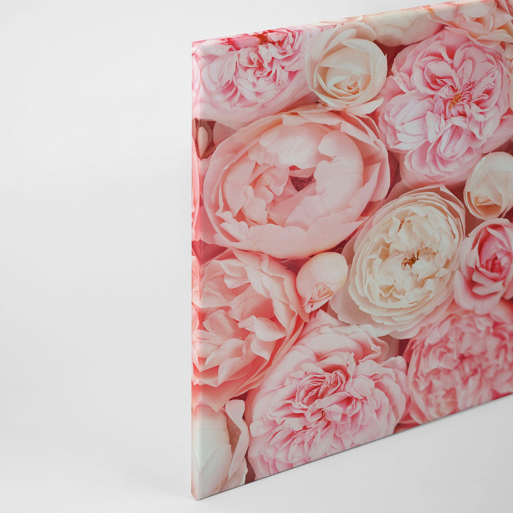 A.S. Création Leinwandbild »Roses«, Blumen, (1 Romantische St.), BAUR Rosen Keilrahmen Rosenbild | kaufen