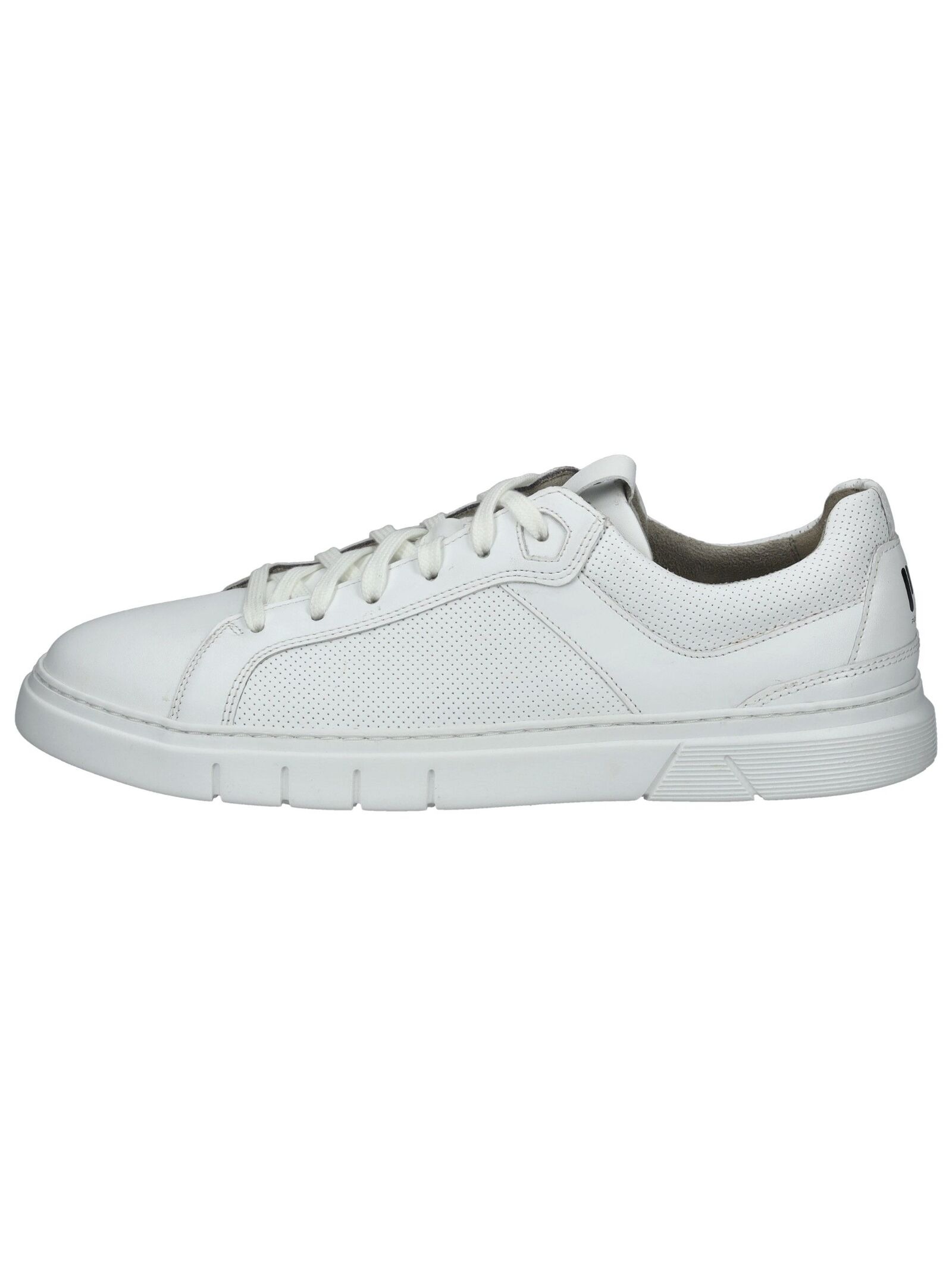 Pius Gabor Sneaker "Pius Gabor Sneaker Leder" günstig online kaufen