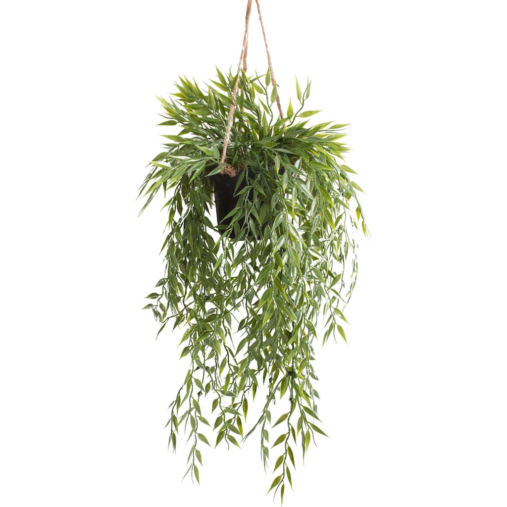 Botanic-Haus Künstliche Zimmerpflanze »Bambus-Hängeampel«, (1 St.)
