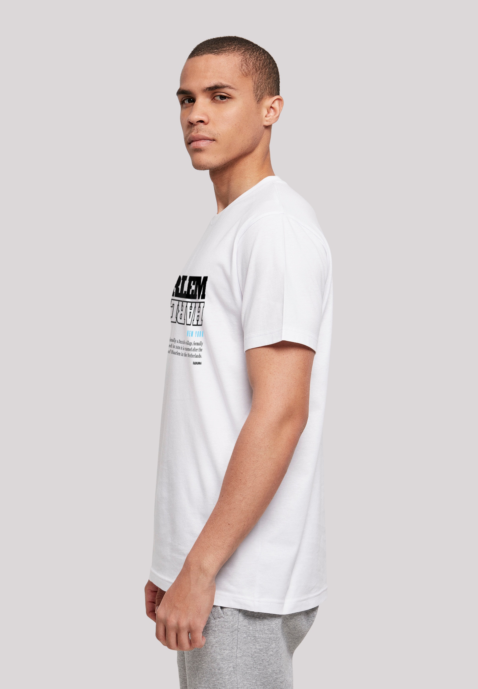 F4NT4STIC T-Shirt »Harlem TEE UNISEX«, Print