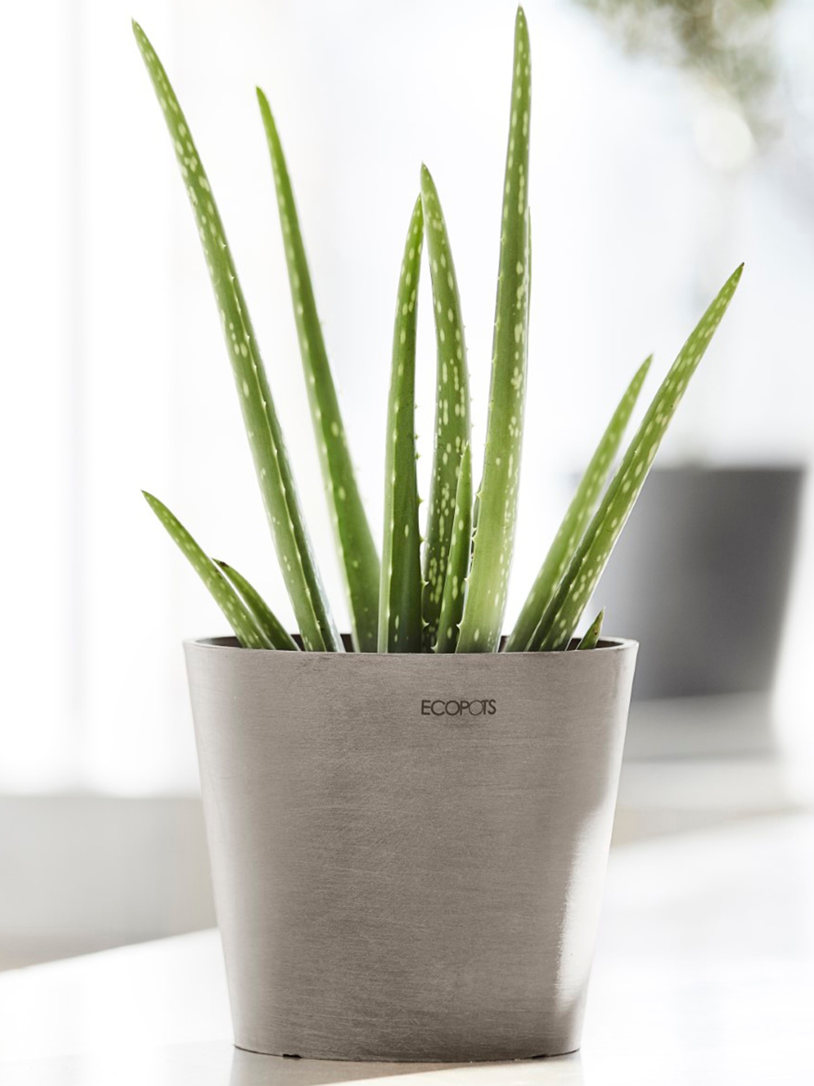 ECOPOTS Blumentopf "Amsterdam Mini 17 Taupe", für den Innenbereich günstig online kaufen