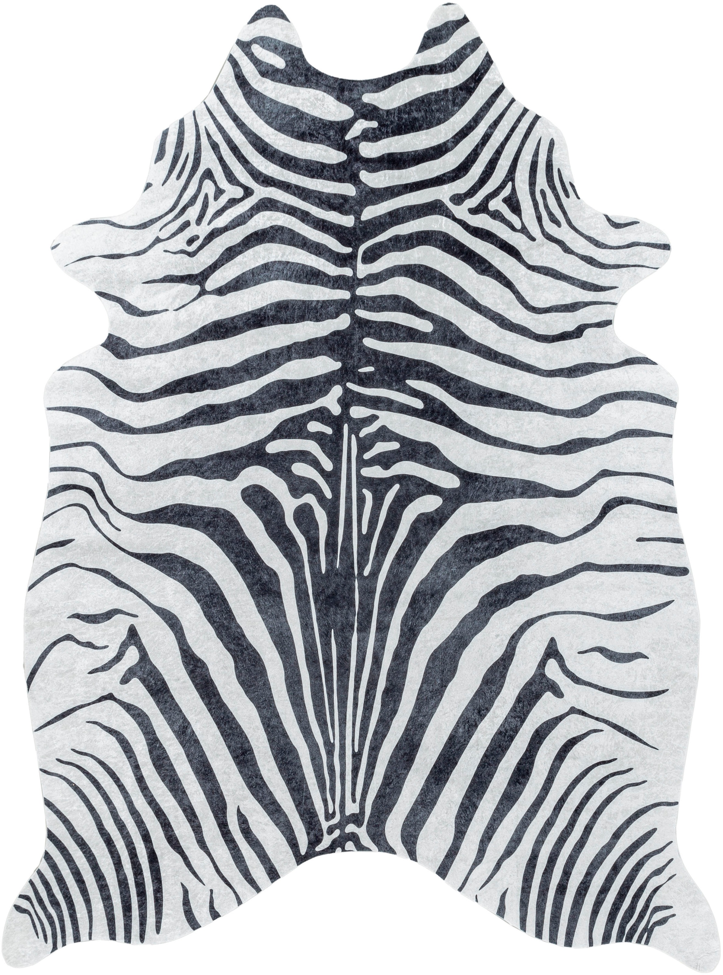 Ayyildiz Etosha 4111 Rug Black 100x135cm 2