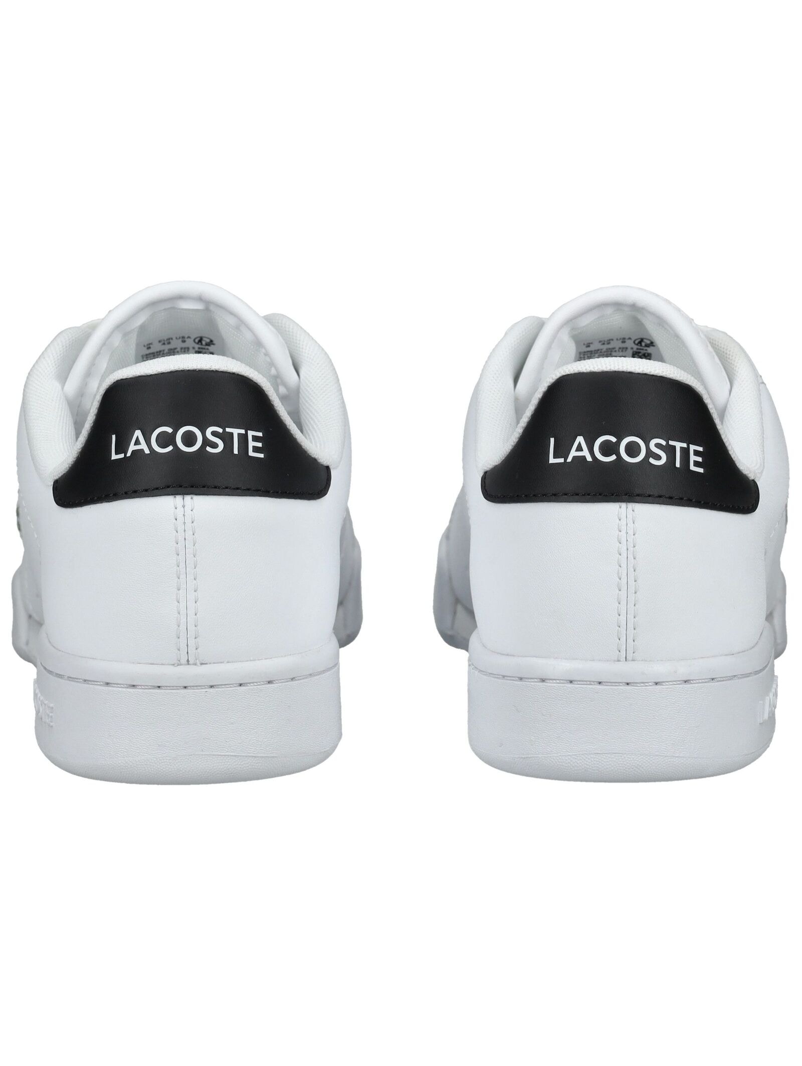 Lacoste Sneaker »lacoste Sneaker Leder«