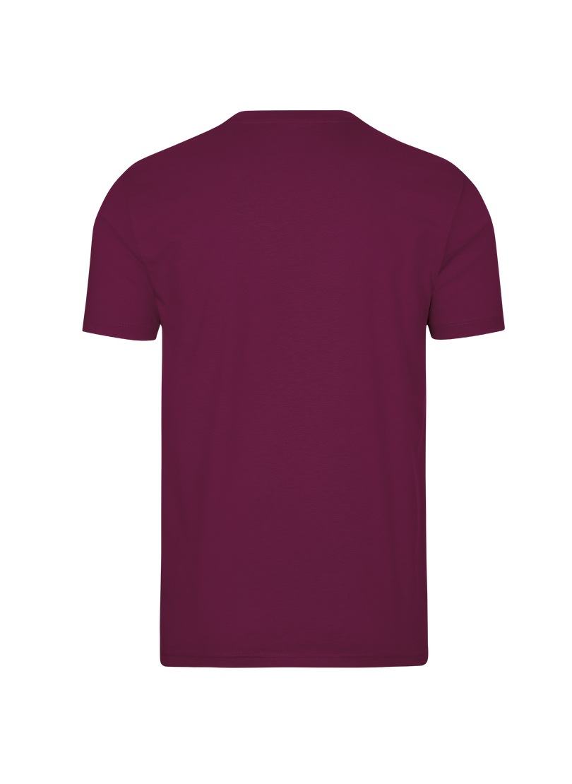 Trigema T-Shirt "TRIGEMA V-Shirt DELUXE Baumwolle" 1 Stk. tlg. günstig online kaufen