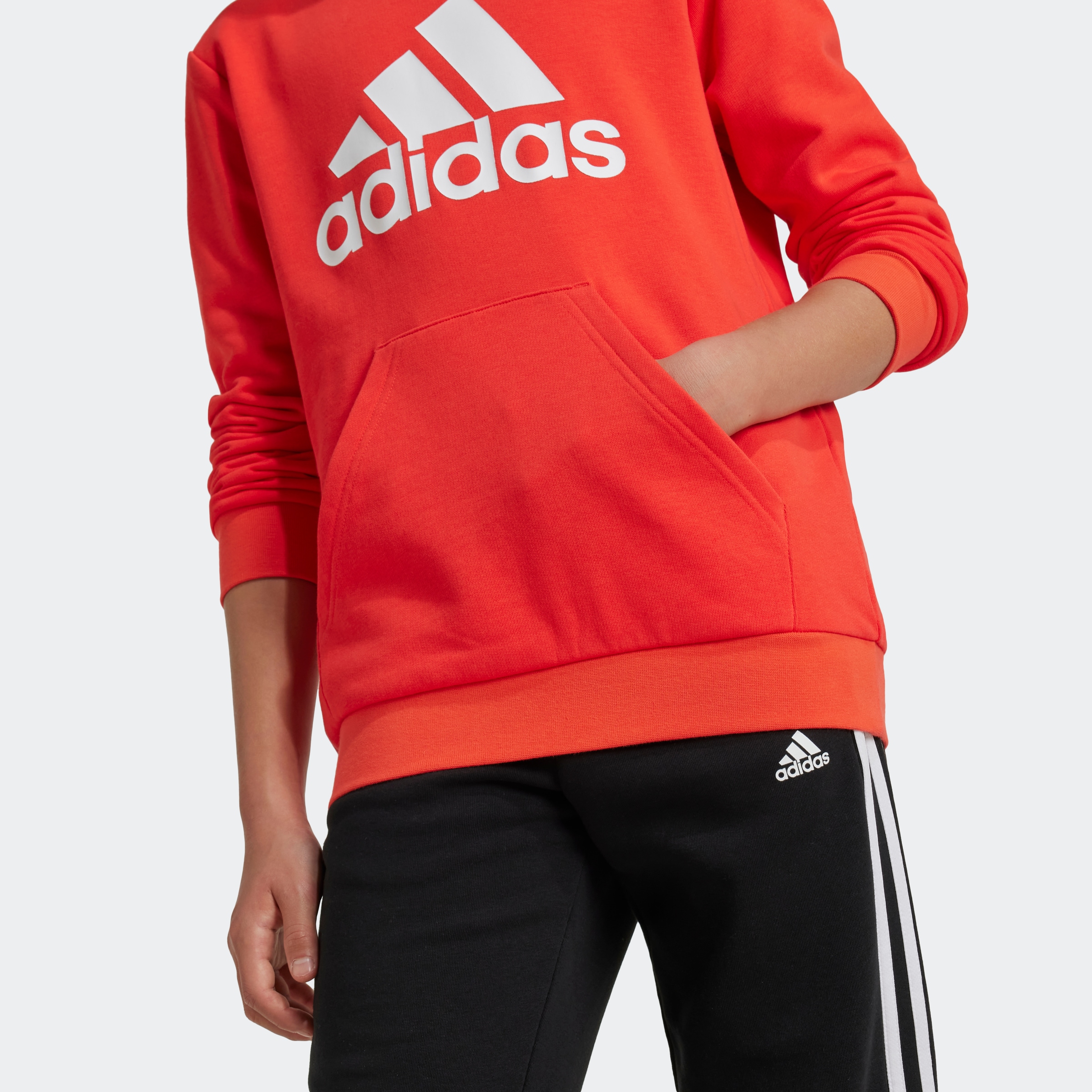 adidas Sportswear Kapuzensweatshirt »BIG LOGO ESSENTIALS COTTON HOODIE«