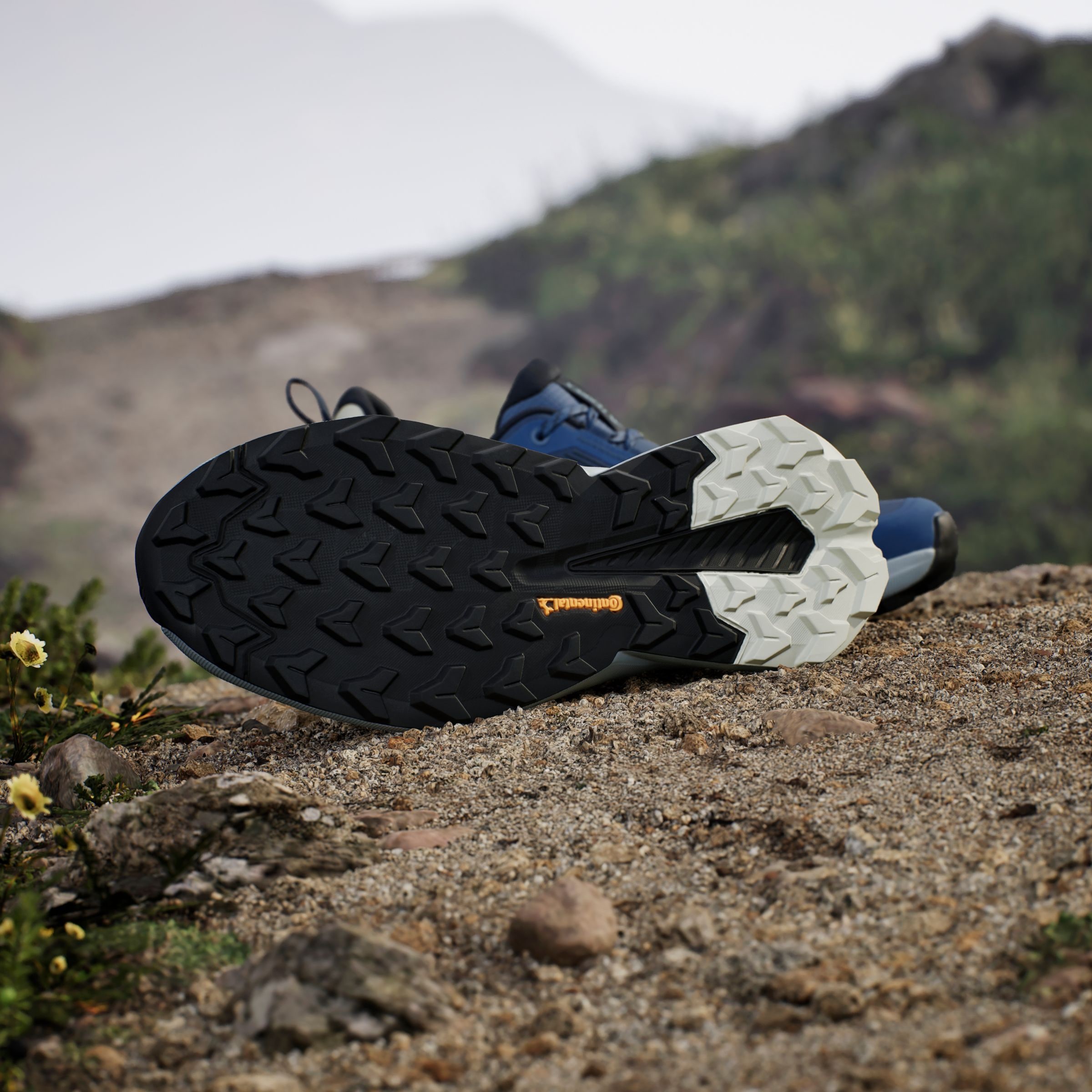 adidas TERREX Wanderschuh »TRAILMAKER 2«