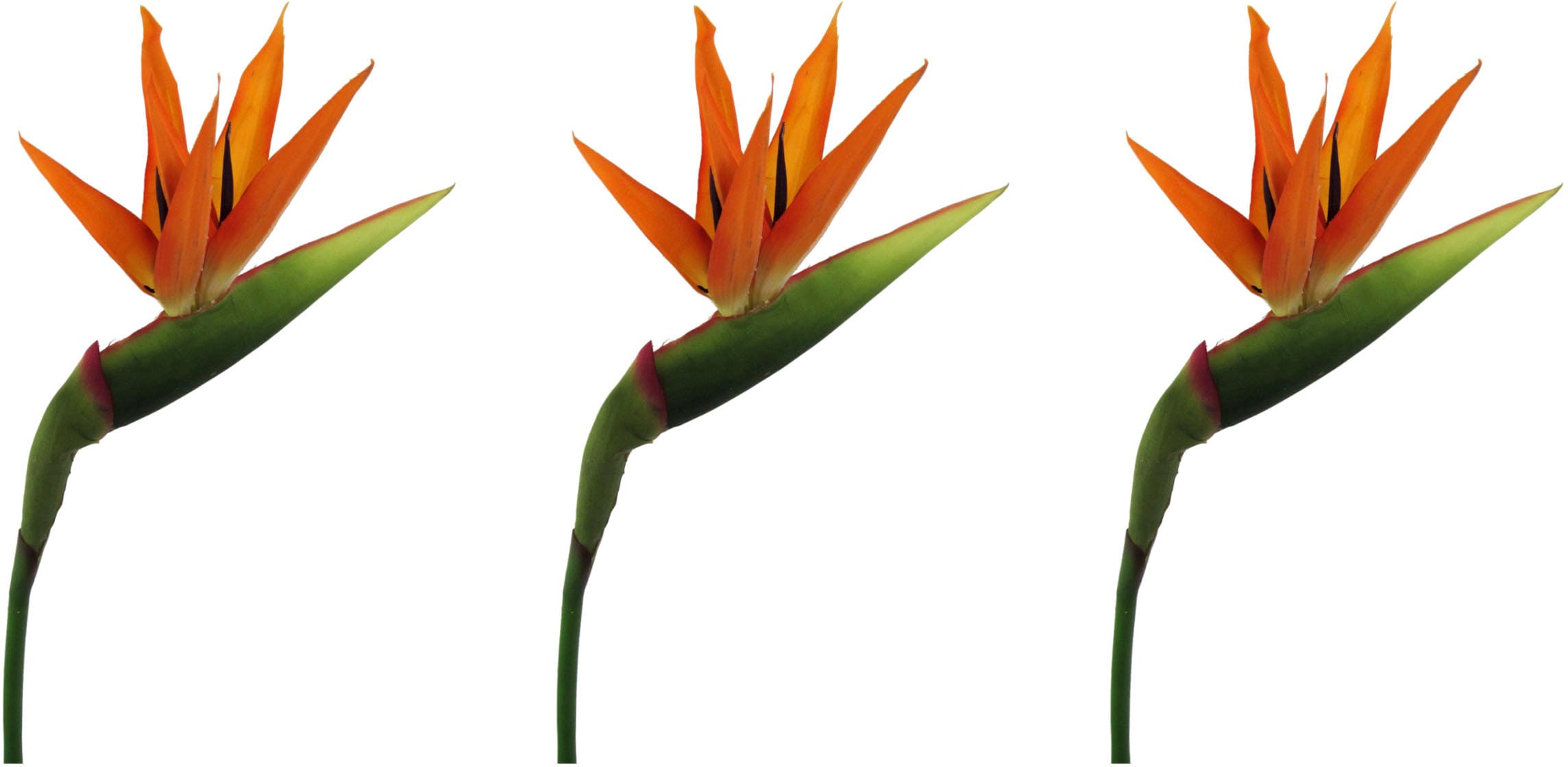 Creativ green Kunstblume »Strelitzie«